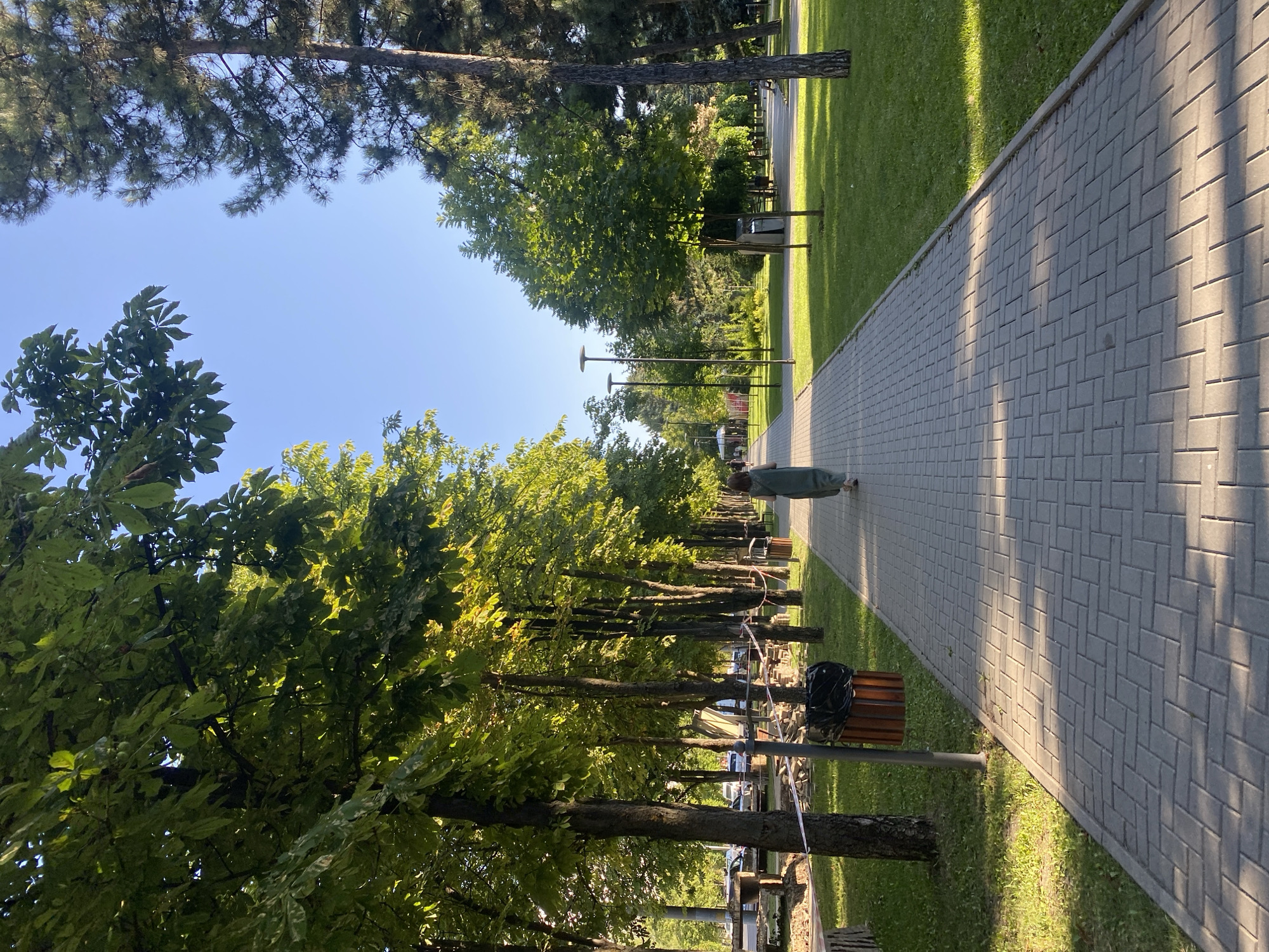 The image depicts a tree-lined pathway in a park in Chișinău, Moldova. A single individual, seen from behind, walks along the path, which is paved with interlocking concrete blocks. The pathway is bordered by a neatly mowed grassy area and a row of trees with lush green foliage. Sunlight filters through the leaves, casting dappled shadows on the path. Several streetlights are visible along the pathway, and a trash receptacle is positioned near the edge of the path. In the background, on the left side of the path, a street with parked cars and some construction elements is visible. On the right side, more trees and open parkland can be seen. The sky is clear and blue, indicating fair weather.