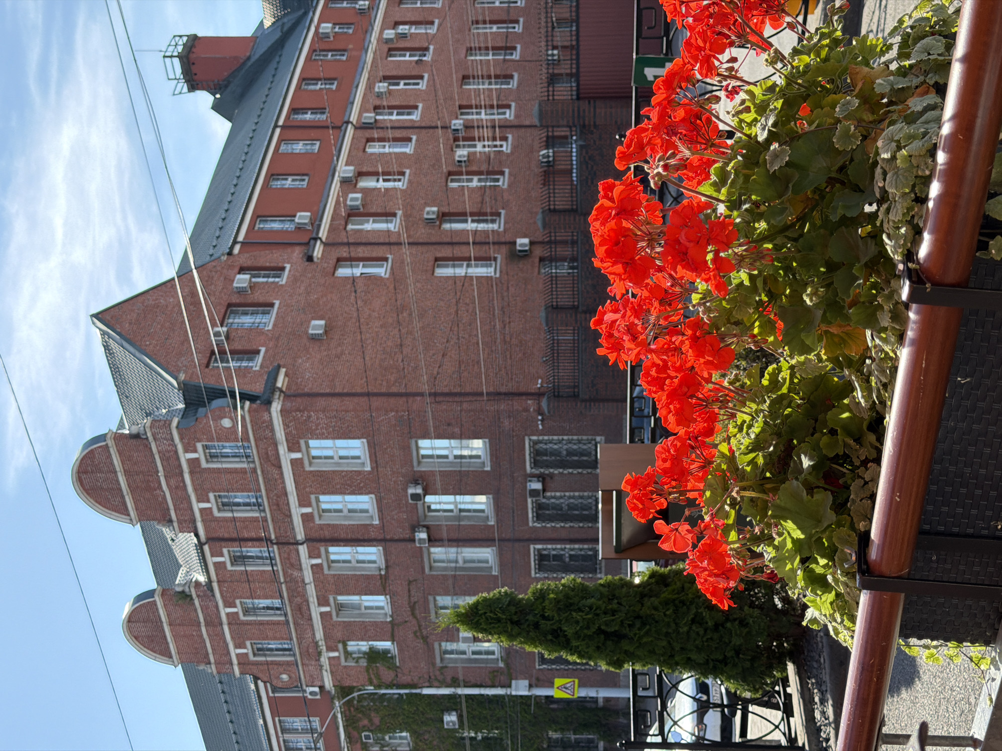 The image shows a brick building with a dark-tiled roof and numerous windows, located in Kaliningrad, Russia. The architecture features ornate gables on the left side of the building. In the foreground, a planter filled with bright red geraniums is visible, along with a conical evergreen tree to the left. A black metal fence borders the area. The sky is blue with scattered white clouds. Utility wires are strung across the upper portion of the image. The scene appears to be a street view, likely during daytime given the clear sky and sunlight.