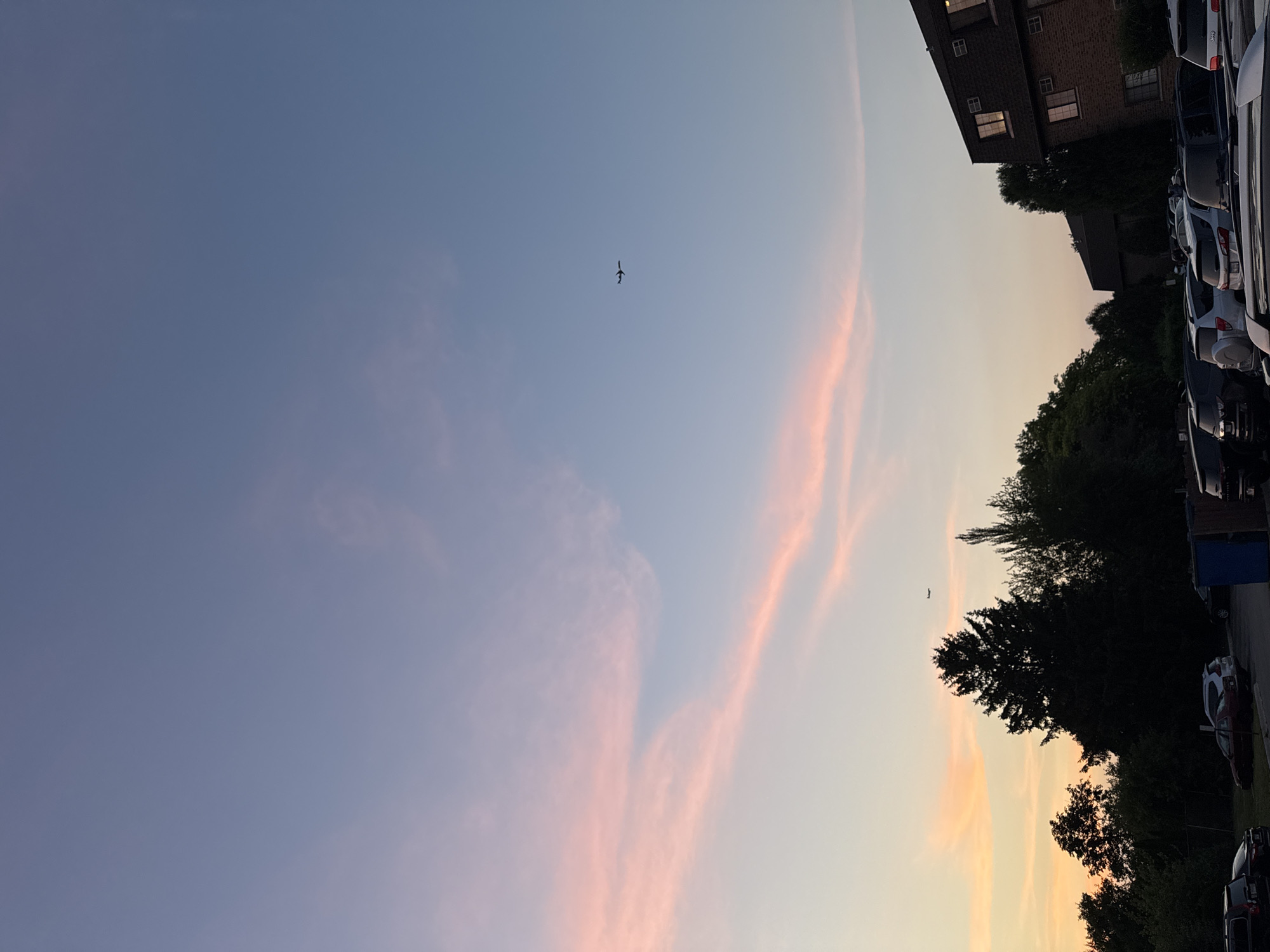 The image displays an outdoor scene at either sunrise or sunset in the city of Glendale Heights, United States of America. The sky exhibits a gradient of colors, transitioning from a muted blue in the upper portion to purples, light blues, and distinct bands of pink and orange clouds closer to the horizon. Two aircraft are visible as dark silhouettes against the lighter sky: one prominent aircraft in the upper-right quadrant, and a smaller aircraft in the lower-left portion, situated above the tree line.
The ground level is dominated by a dense treeline composed of both coniferous and deciduous trees, forming a dark silhouette across the mid-ground. In the foreground and extending into the mid-ground, a paved parking lot is occupied by numerous parked vehicles, primarily SUVs and sedans, appearing dark due to the low light conditions. On the right side of the frame, a multi-story brick apartment building is visible, featuring a dark, sloped roof with dormer windows and multiple rectangular windows on its brick facade. A blue dumpster is positioned in the parking lot adjacent to the building. No individuals or direct interactions are visible within the frame.