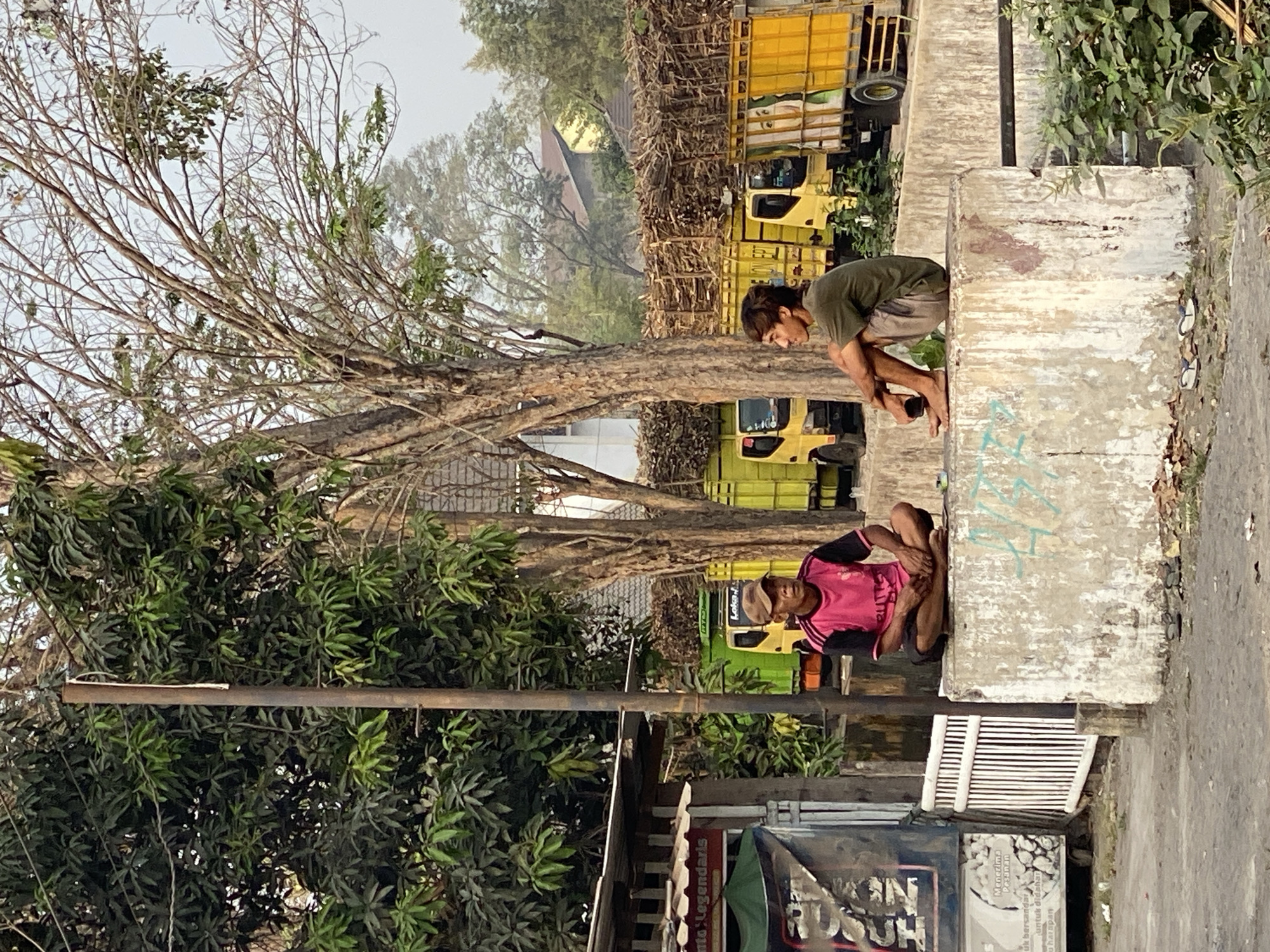 The image depicts two men sitting on a concrete barrier in what appears to be an industrial or transportation hub, possibly related to agriculture, given the presence of trucks loaded with what looks like sugarcane or similar agricultural products. The scene is set in the city of Kasihan, Indonesia.
In the foreground, on the left, a man wearing a pink and black t-shirt and dark shorts is seated cross-legged. He has a cap on his head and is looking towards the left. He is positioned on a weathered, concrete structure that has some graffiti on its surface. To his left, there is a small roadside stall or kiosk with a thatched roof and signage. A white metal fence is visible behind him.
To the right of the first man, also seated on the same concrete barrier, is another man wearing a dark olive green t-shirt and light brown shorts. He is sitting with his legs bent and his arms resting on his knees, looking towards the right.
In the background, several yellow trucks are parked, some with their beds filled high with bundles of raw agricultural material. The trucks have markings and some appear to have images or advertisements on their sides. Behind the trucks, trees with bare branches dominate the upper portion of the image, suggesting a dry season or deciduous trees. The sky is hazy and overcast. Green foliage and smaller plants are visible around the base of the concrete barrier and near the trucks. The ground in the immediate foreground is a dusty, unpaved surface. The overall impression is one of a working area, possibly a loading or unloading point, where workers are taking a break.