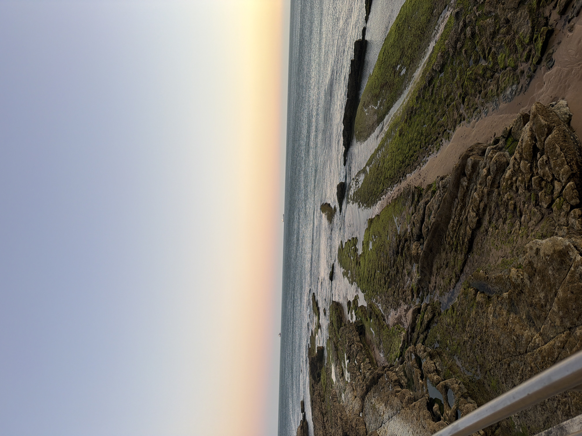 The image shows a rocky coastline with patches of green algae and sand. The ocean is visible in the background, with two cargo ships on the horizon. The sky is a gradient of light blue at the top, transitioning to pale yellow and pink near the horizon, suggesting it is either sunrise or sunset. A metal railing runs along the bottom left of the image, indicating a walkway or viewpoint. The overall scene is natural and tranquil, likely captured in Cascais, Portugal, a location known for its scenic coastline. There are no people visible in the image.