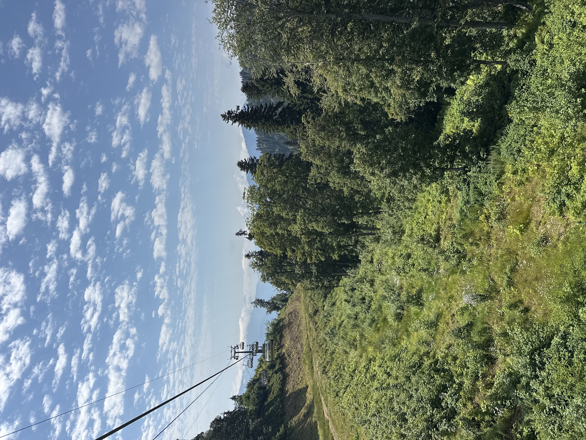 This is a vertical, outdoor, daytime photograph taken from a moving cable car in Estosadok, Russia. The scene depicts a mountainous landscape covered in lush green vegetation and dense forest. In the foreground, on the left side of the image, is the cable of the ski lift, with a ski lift tower and chairs visible further up the slope. The slope is covered with grass and some scattered flowers. Beyond this, a dense forest of various trees, including pines and deciduous trees, dominates the mid-ground and right side of the image. In the distance, layered mountain ranges are visible under a bright blue sky filled with scattered white clouds. The overall impression is a scenic view of a summer day in a mountainous resort area.