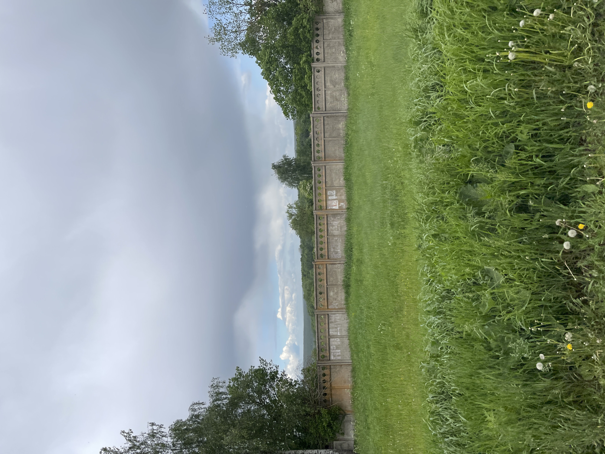 The image shows an outdoor scene in Петрово, Russia, featuring a concrete fence running parallel to a grassy area. The grass is lush, with some dandelion seed heads visible. On the other side of the fence, there are trees and a cloudy sky. A storm appears to be approaching.