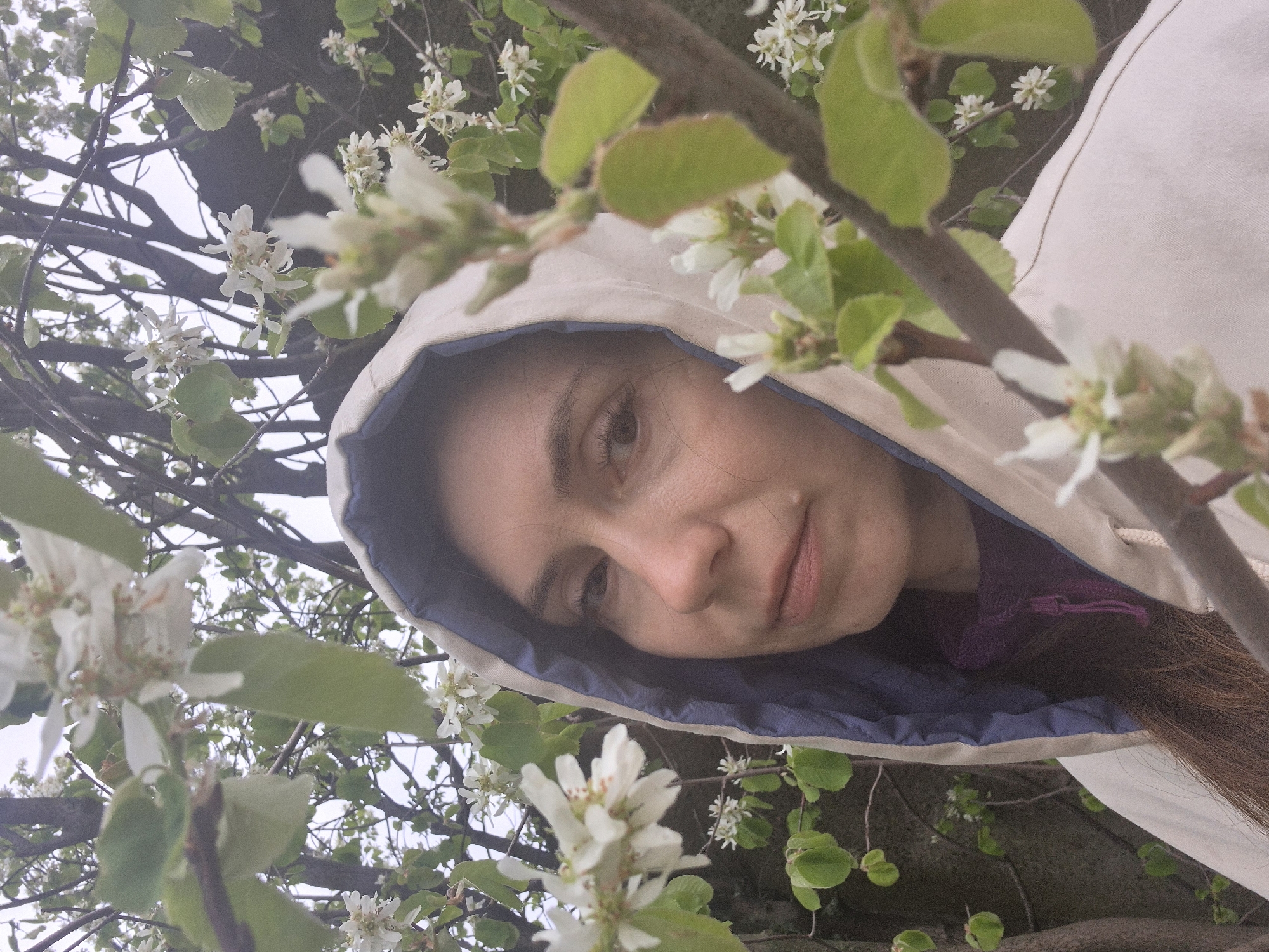 A person with brown hair and light skin wears a hooded jacket with a light beige exterior and a blue interior, framed by branches and white flowers of a tree or shrub in the city of Unknown, Unknown. The person's face, including their eye, nose, and mouth, is visible. The camera angle is low, looking upwards through the branches and flowers. The background is obscured by the foliage and sky.