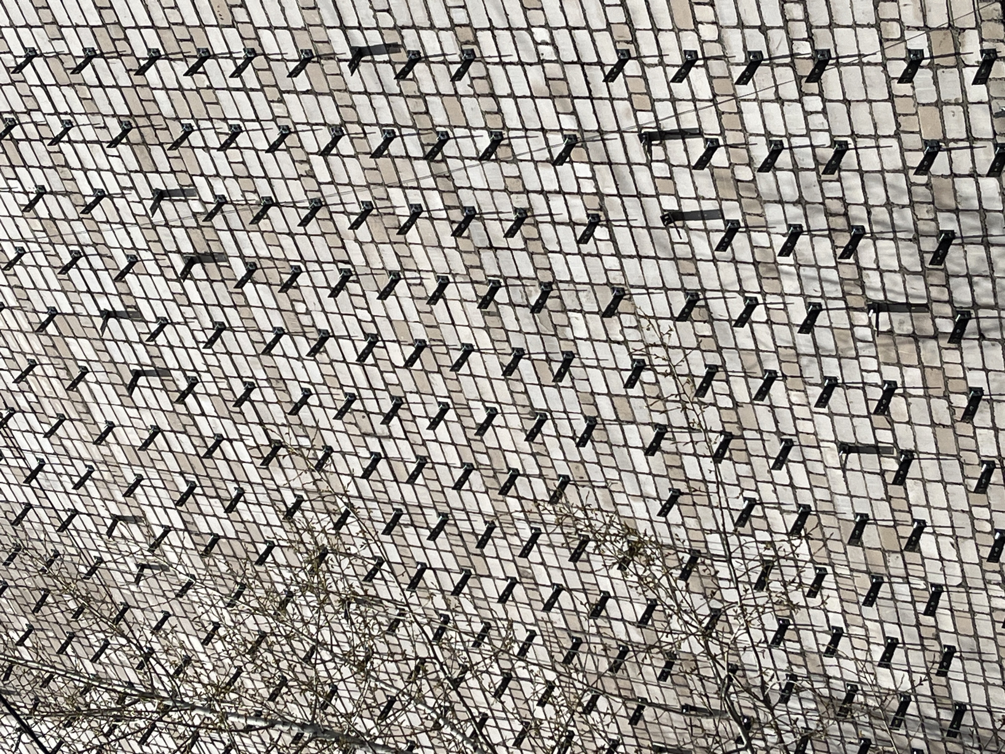 The image displays a large, textured wall or embankment covered by a dark, grid-like mesh. The grid is composed of intersecting lines forming a pattern of diamonds or squares, stretching across the entire frame. Behind this mesh, the surface appears to be made of light-colored, rectangular blocks or tiles, possibly concrete or stone, creating a somewhat irregular, mottled texture.
Numerous small, dark, L-shaped brackets or clips are systematically attached to the light-colored surface, presumably securing the mesh in place. These brackets are arranged in rows and columns, casting distinct, sharp shadows downwards and to the right, indicating bright sunlight from an upper-left source.
In the lower portion of the image and extending slightly upwards into the mid-ground, a network of bare, slender tree branches is visible, partially obscuring the grid and wall. These branches appear devoid of leaves, suggesting either late autumn, winter, or early spring.
The scene is outdoors on a bright, sunny day, evidenced by the strong shadows. There are no people visible, and no specific activity is taking place beyond the static presence of the structure and the natural branches. There is no discernible text in the image. The overall impression is one of engineered stability or erosion control in a natural or semi-natural environment.