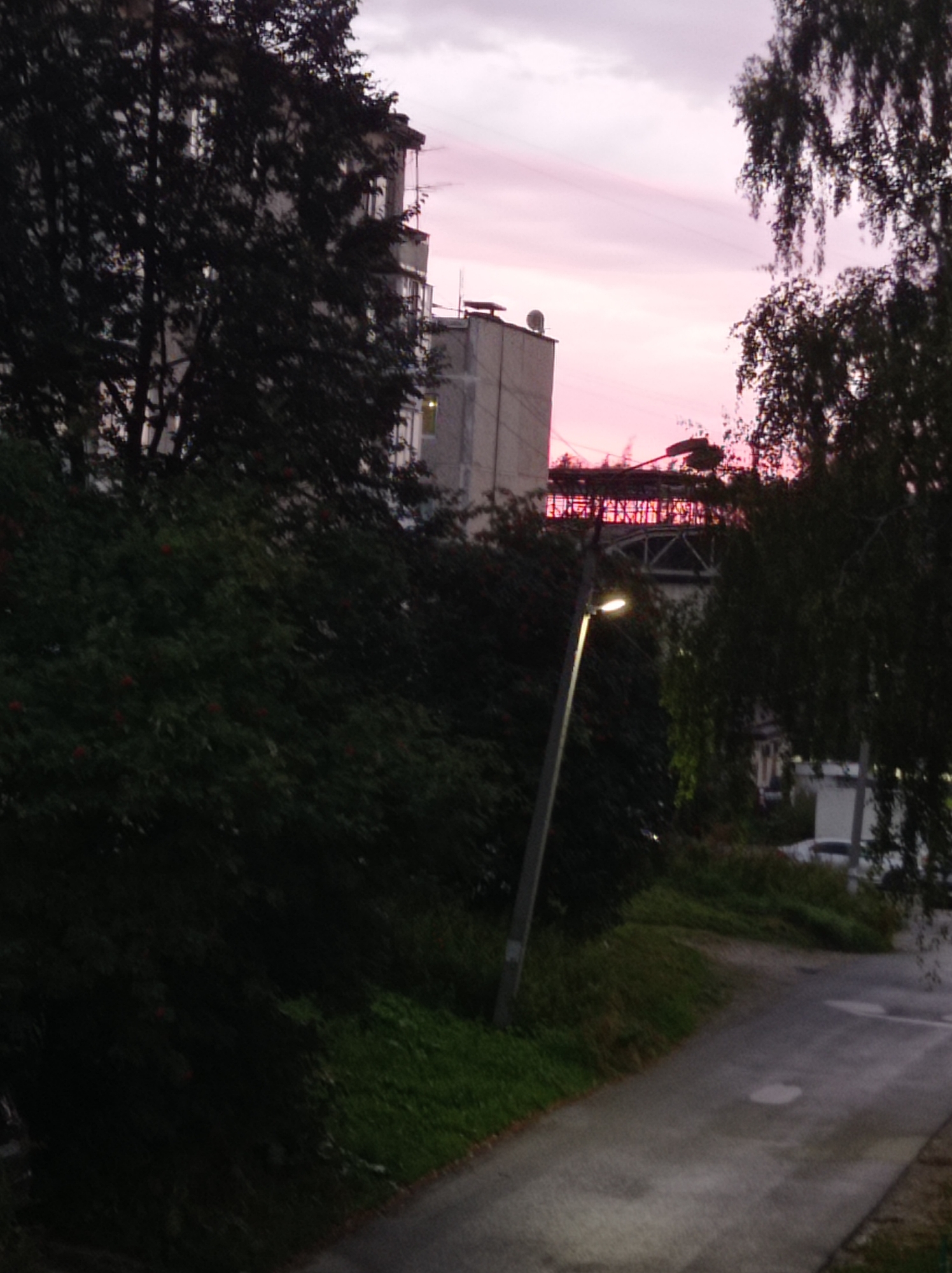 The image captures an urban scene at dusk in Degtyarsk, Russia. A tall apartment building, partially obscured by dark foliage, dominates the left side of the frame. The sky displays a pale pink and purple hue, indicative of twilight. A lamppost stands in the mid-ground, casting a faint light. Beyond the lamppost, a truss structure, possibly part of a bridge or industrial building, is visible against the colorful sky. Trees frame the scene on the left and right, with dense dark green foliage in the foreground. A paved pathway or road curves through the lower right of the image, reflecting small puddles of water, suggesting recent rain. The overall atmosphere is calm and serene, with the fading light creating long shadows and a muted color palette.