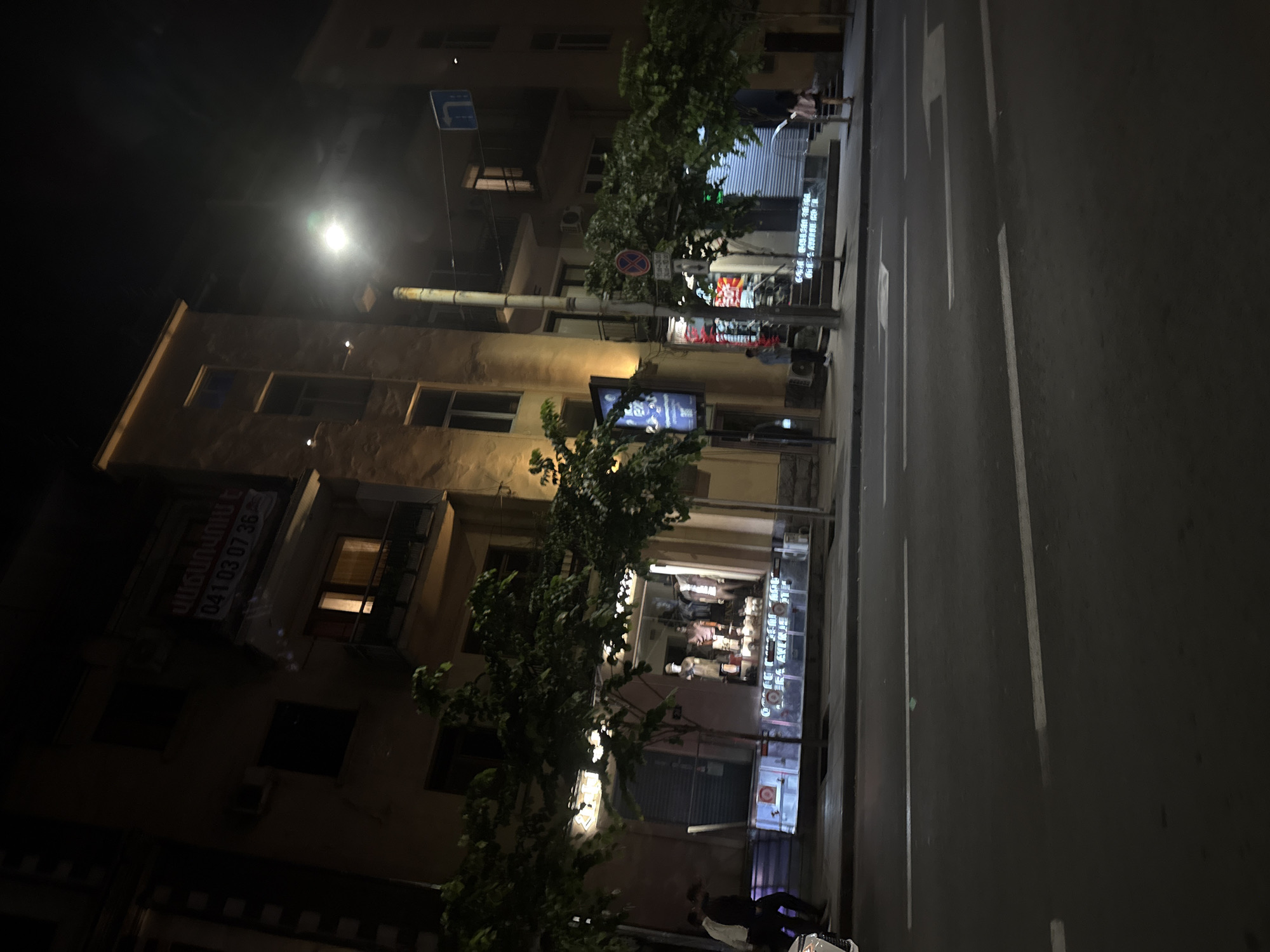 This is a forensic, matter-of-fact description of a nighttime street scene in Yerevan, Armenia.
The image captures an urban street at night, with multiple-story buildings lining the right side of the frame. The time is evidenced by the dark sky, illuminated streetlights, and lit windows.
In the foreground, an asphalt road displays white painted lane markings, including a continuous line along the curb and a dashed line further left. Arrow markings are visible on the asphalt, indicating traffic direction. A small, light green object rests on the road in the middle-left. A white car's front bumper is partially visible in the bottom-left corner.
The midground features a sidewalk bordered by several trees with green foliage, partially obscuring the storefronts. A tall, light-colored utility pole stands prominently slightly right of the center, equipped with a bright streetlight at its top. Attached to this pole are a blue rectangular sign with a white right-turn arrow and a red circular sign with a diagonal line indicating "no stopping" or "no parking."
Along the sidewalk, several commercial establishments are visible. One prominent shop on the left features a large, brightly illuminated display window showcasing multiple mannequins dressed in clothing. Below this window, partially visible text appears to be in English. To the far left, a vertical, illuminated digital display shows blue and white graphics. Further right, another shop entrance is covered by a metal roller shutter, and beyond that, another illuminated shop window is partially visible through the trees.
Several individuals are present on the sidewalk. Two men are walking from left to right in front of the leftmost shop; one wears a light shirt, the other a dark shirt. Another person stands near the central utility pole. A woman in a light skirt and dark top is walking away from the camera on the far right side of the sidewalk.
The background consists of multi-story buildings, appearing to be residential or mixed-use, with light-colored facades. Numerous windows are visible, some illuminated from within, suggesting occupied dwellings. Several balconies extend from the upper floors, some featuring railings. Air conditioning units are mounted on the exterior walls of some buildings. A prominent red and white banner, displaying Armenian text "ՎԱՃԱՌՎՈՒՄ Է" (FOR SALE) and the phone number "041 03 07 36," is affixed to a balcony railing on an upper floor slightly to the left of the frame's center.