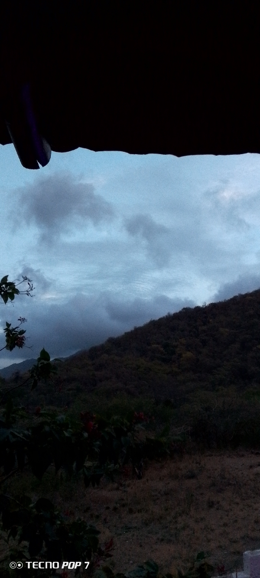 The image depicts a dim, overcast sky over a treeline and a hillside, suggesting an early morning or late evening scene. In the foreground, dark foliage with some red accents is visible, partially obscuring the ground. A dark, curved structure, possibly a roof or overhang, occupies the top portion of the image. The sky is a muted blue-gray with scattered clouds. The hillside is covered in dense vegetation, appearing dark and textured. The overall impression is one of a natural, somewhat rugged landscape under subdued lighting. The bottom left corner of the image contains a watermark that reads "TECNO POP 7". The location is identified as Altagracia, Venezuela.