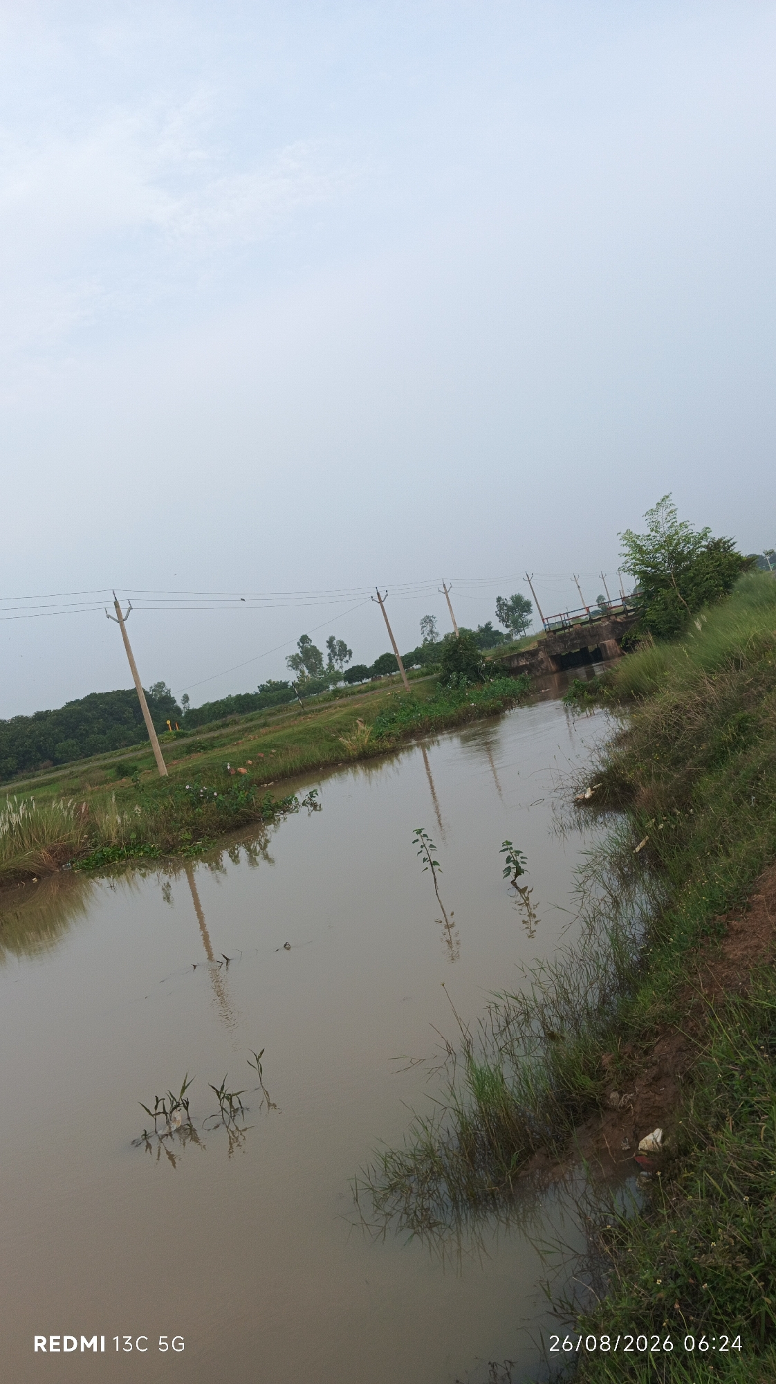 The image depicts an overcast day in Narayanpur, India, with a canal or drainage ditch running diagonally through the frame from the lower left to the upper right. The water is murky brown, with reflections of the sky and surrounding vegetation visible on its surface. Along the left bank of the canal, tall reeds and grasses grow, interspersed with some smaller plants. Several utility poles with wires run parallel to the canal in the middle ground, with trees and foliage visible further in the background. A small concrete bridge crosses the canal in the upper right portion of the image, with trees and more vegetation on the far bank. The right bank of the canal is lined with grass and a dirt path, with some litter visible. The sky is uniformly gray with diffused light, suggesting a cloudy or misty atmosphere. The bottom of the image displays the text "REDMI 13C 5G" on the left and a timestamp "26/08/2026 06:24" on the right. No people are visible in the image.
