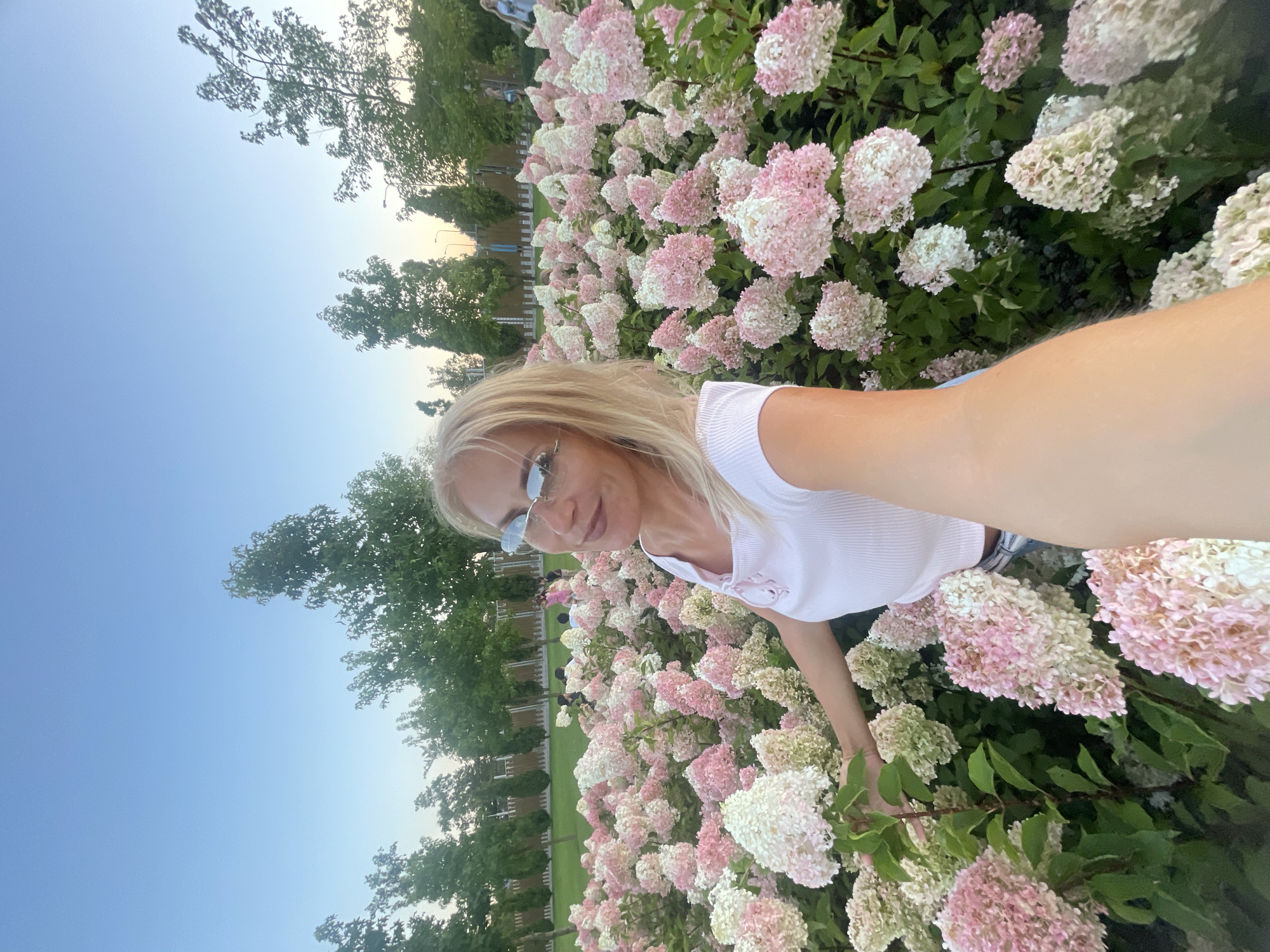 A blonde woman wearing a white top and sunglasses takes a selfie in a park surrounded by pink and white hydrangeas. The park has neatly trimmed trees in the background, and a fence separates the manicured area from a grassy field. A few people are visible in the distance, walking or standing. The sky is a clear, pale blue, indicating it is either early morning or late afternoon. The location is the Park of the 30th Anniversary of the Victory in Krasnodar, Russia.