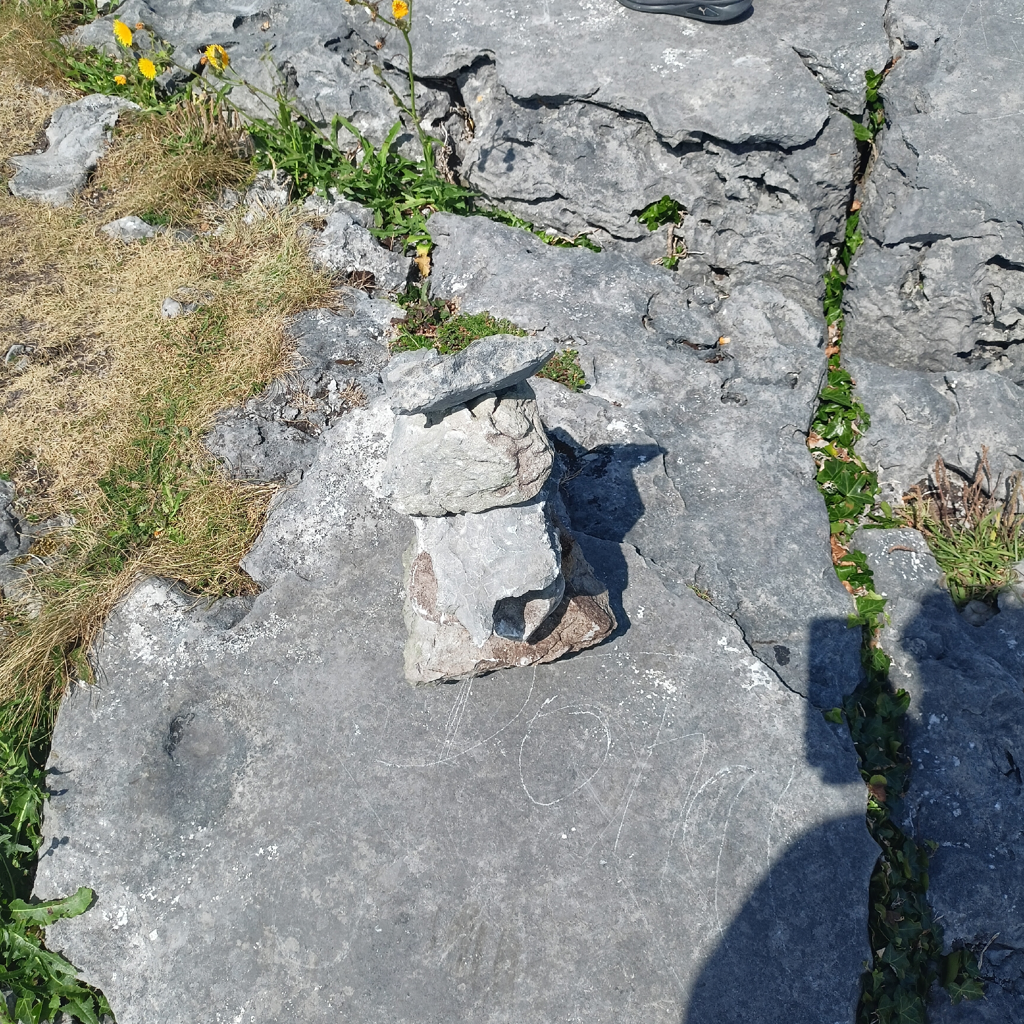 The image shows a cairn of stones stacked on top of a flat, grey rock surface. The cairn consists of at least four stones, with the largest at the bottom and progressively smaller stones stacked on top. The stones are irregular in shape and appear to be made of limestone. Green vegetation, including grass and ivy, grows in patches around and between the rocks. In the background, more rugged, grey rock formations are visible, with some dry, yellowish grass. Yellow flowers are also present, growing amongst the rocks and grass. A shadow of a person is cast on the right side of the image. The scene is likely outdoors, in a natural, rocky environment, consistent with locations such as the Burren region in County Clare, Ireland, which is known for its karst landscape and stone formations. There is no indication of the city of Seershin, Ireland in the image.