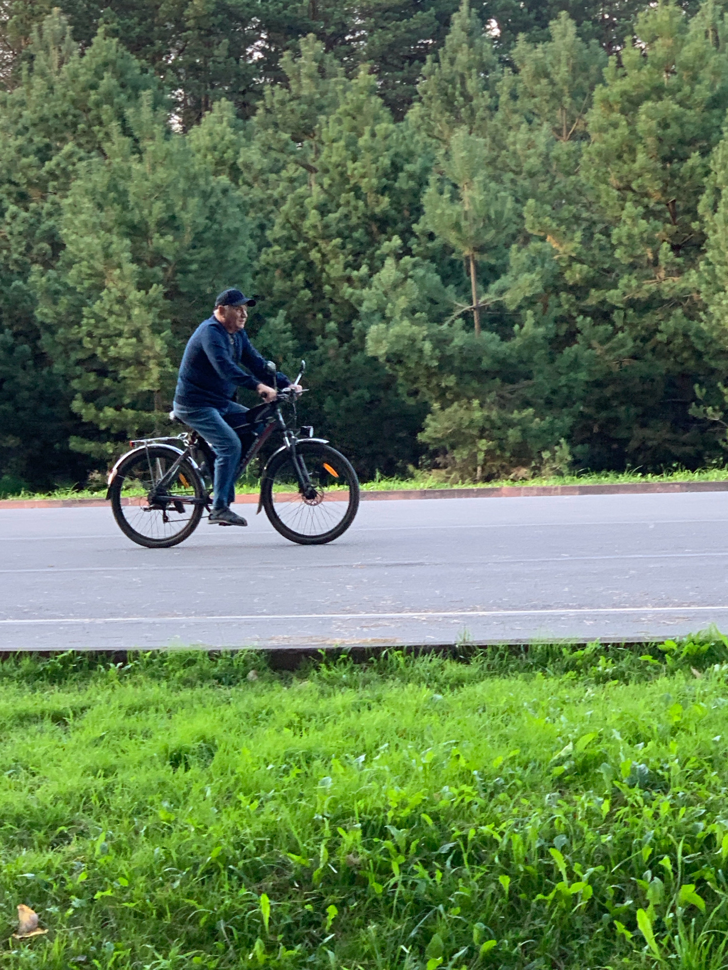 A man is riding a bicycle on a paved road in Prokopyevsk, Russia. He is wearing a dark blue long-sleeved shirt, blue jeans, and a dark blue baseball cap. The bicycle is dark colored with chrome fenders and a rear rack. The man is positioned in the center of the image, riding towards the right. The background consists of a dense forest of pine trees. In the foreground, there is a strip of green grass along the edge of the road. The sky is not visible. The road appears to have white lane markings.