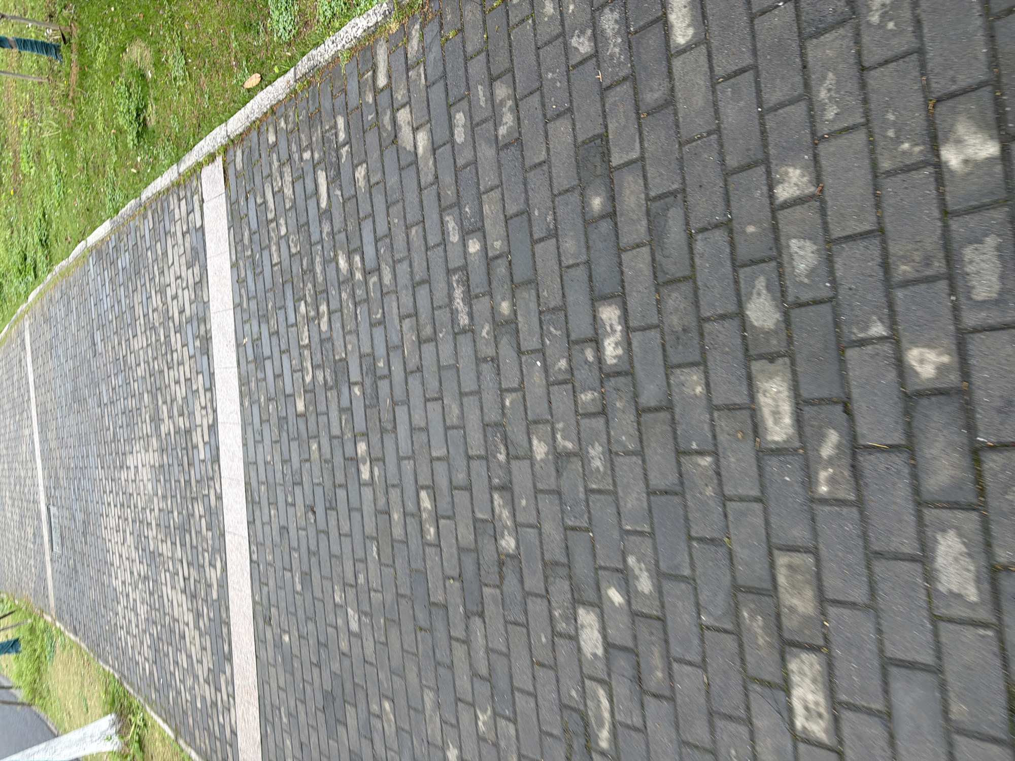 The image shows a paved walkway in Jiangning District, China. The walkway is constructed of rectangular gray pavers, with a light gray border running along one side. Adjacent to the border is a strip of green grass. The walkway and grass are angled diagonally in the frame, giving a sense of depth. There are no people visible. The scene is outdoors and appears to be well-maintained.