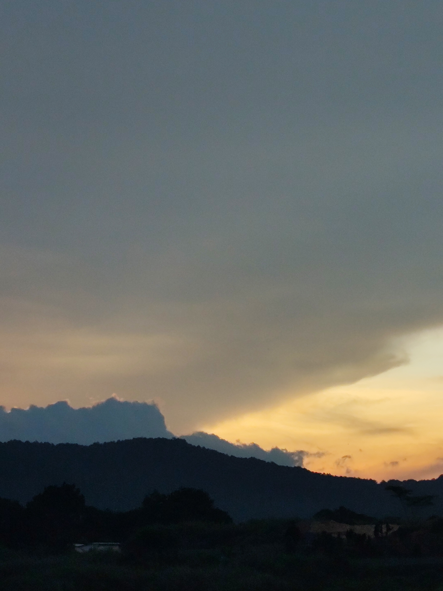 The image captures a landscape at dusk. The sky is dominated by gray and orange-yellow clouds. A dark, silhouetted mountain range spans the lower third of the image. In the foreground is dark vegetation, suggesting a forest or overgrown area. It is difficult to ascertain the specific location within Da Lat, Vietnam without further visual clues. The absence of people, distinct structures, or specific landmarks hinders precise location identification.