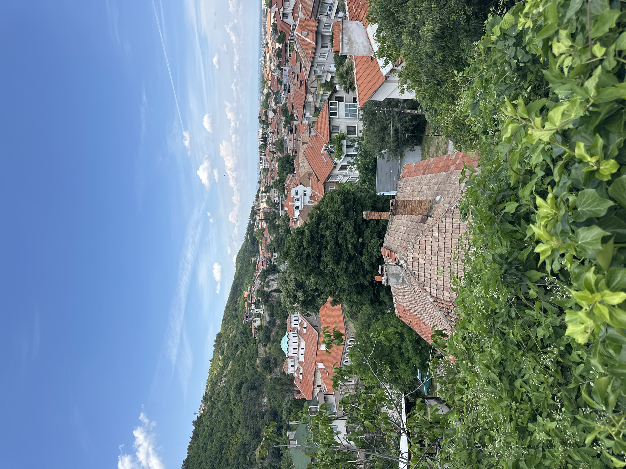 The image is an exterior, high-angle, medium shot of the city of Asenovgrad, Bulgaria. The scene is a landscape view of a densely populated urban area with numerous red-tiled roofs. The buildings are a mix of residential homes and possibly commercial structures, with varying architectural styles and heights. Green trees are interspersed throughout the city, and a lush green hillside dominates the left side of the frame, dotted with more buildings. The sky is blue with scattered white clouds, suggesting fair weather. In the foreground, there is dense green foliage, partially obscuring the view of some buildings. In the middle ground, a prominent building with a light blue dome and a red-tiled roof stands out, likely a church or monastery. The overall impression is of a historic European town nestled into a hilly landscape under a bright sky.