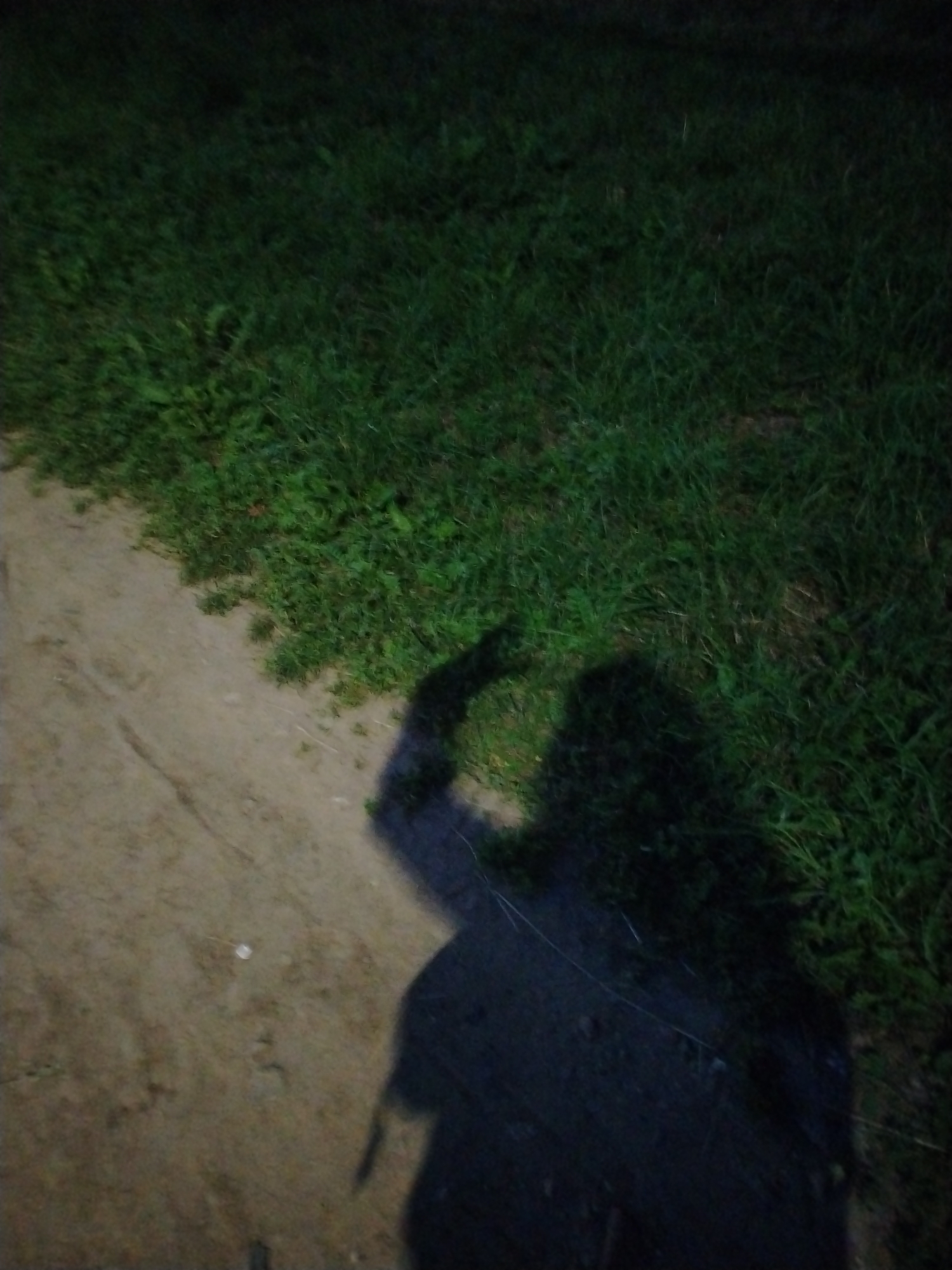The image shows a shadow of a person against a background of grass and a dirt path. The person's shadow is cast on the ground, suggesting that the sun is behind them. The grass appears to be green and lush, and the dirt path is rough and uneven. The lighting in the image is dim, indicating that it might be either early morning or late evening. The shadows are long and dark, which is typical of low light conditions. The overall scene is natural and outdoors, possibly a park or a rural area. There are no visible objects or text in the image, other than the shadow itself. The emotion conveyed by the image is somewhat mysterious due to the dim lighting and the presence of a shadow, which obscures the subject's identity. The location context provided is Yaroslavl, Russia, which may imply a temperate climate, consistent with the presence of grass.