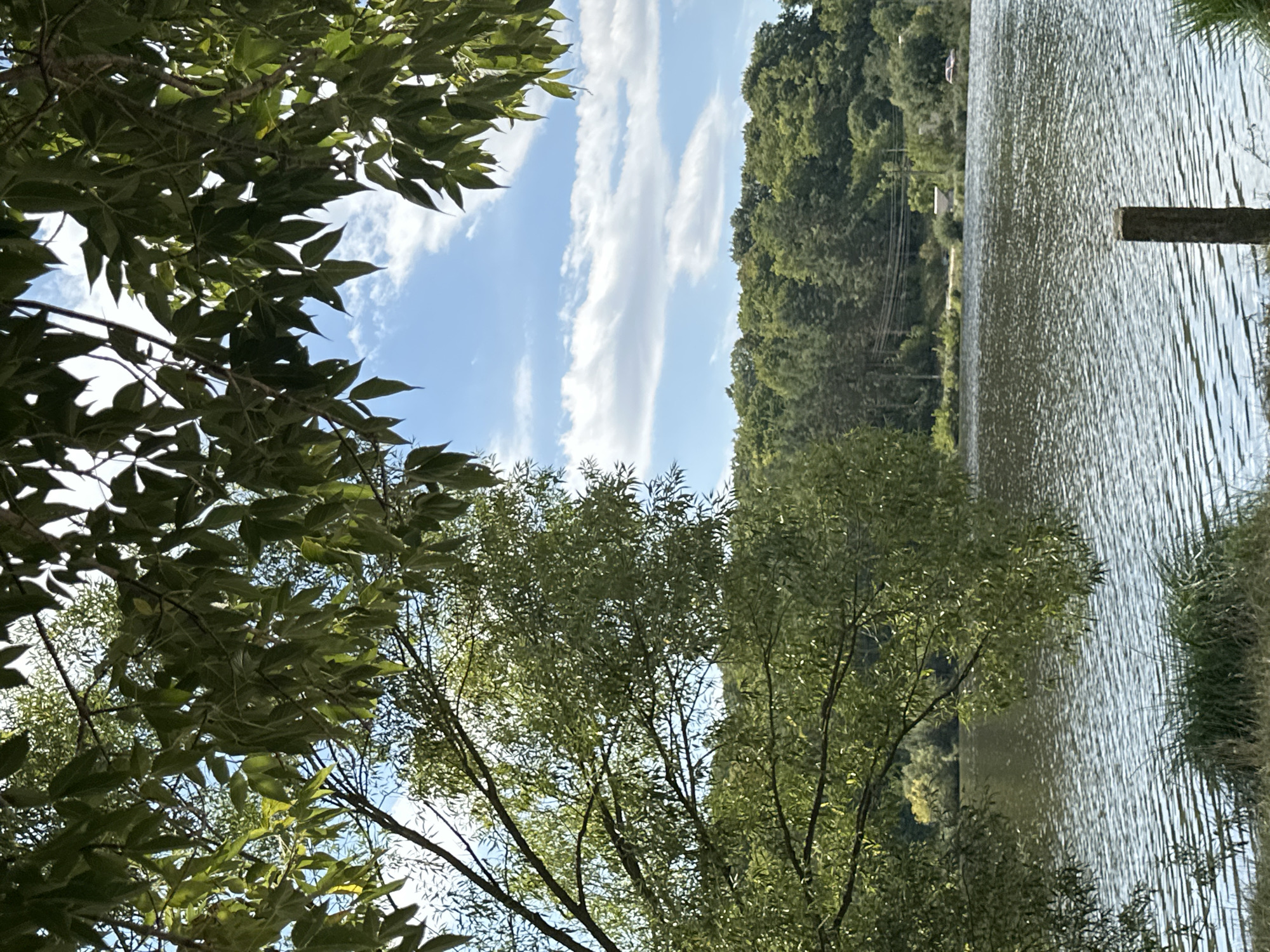 A bright, sunny day captures a serene landscape of a body of water, likely a lake, in Makiv, Ukraine. The foreground is dominated by the lush green canopy of trees, with branches and leaves framing the upper portion of the image and extending from the left. Sunlight filters through the leaves, creating dappled light and shadow.
The water's surface is rippled, reflecting the blue sky and scattered white clouds. In the middle ground, a dense line of trees forms a verdant backdrop along the far bank of the water. The trees are a mix of shades of green, suggesting a variety of species and a healthy forest ecosystem. Along the distant treeline, hints of human presence are visible: a few structures, possibly buildings or utility poles, and what appear to be parked cars.
A single, weathered wooden post stands in the lower right quadrant of the image, partially submerged in the water near the bank, adding a subtle, rustic element to the scene. The overall impression is one of natural beauty and tranquility, with a hint of rural life integrated into the environment.