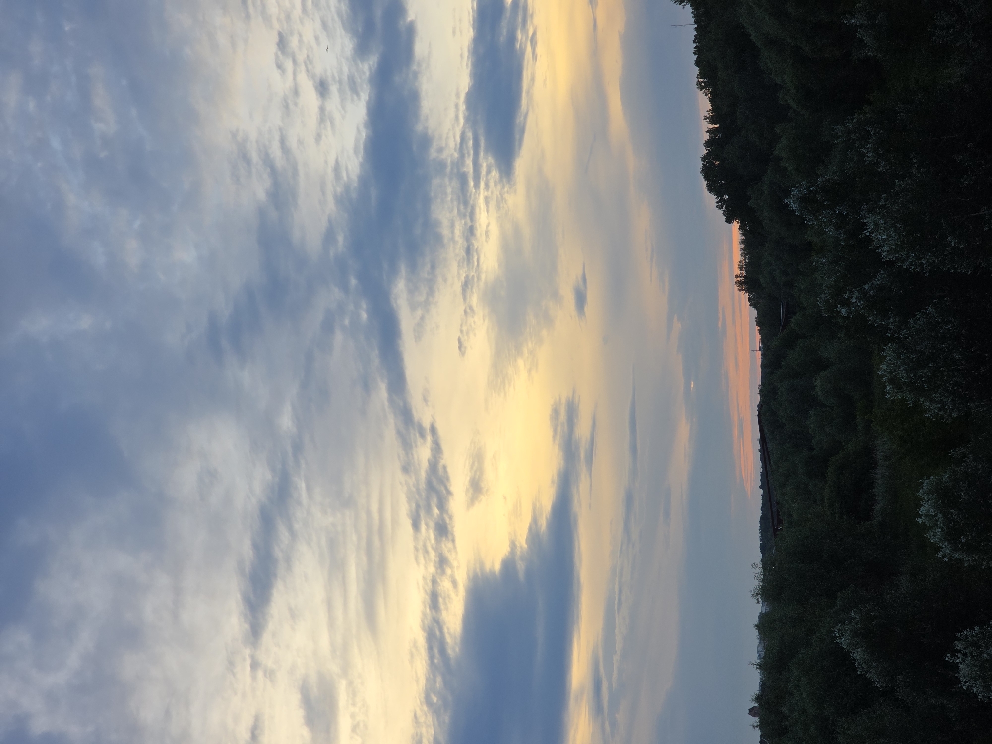 The image depicts a natural landscape with a sky filled with clouds. The sky displays a gradient of colors, transitioning from a pale yellow near the horizon to shades of blue and gray higher up. There are wispy clouds scattered across the sky, some darker and more defined, while others are lighter and more diffuse. Below the sky, a dense line of trees forms a dark silhouette against the lighter sky. The trees appear to be a mix of deciduous species, with various shades of green and some lighter foliage visible. The overall scene suggests a natural environment, possibly a park, forest, or undeveloped area on the outskirts of a city. No specific landmarks or urban features are clearly identifiable to pinpoint a location within Warsaw, Poland.