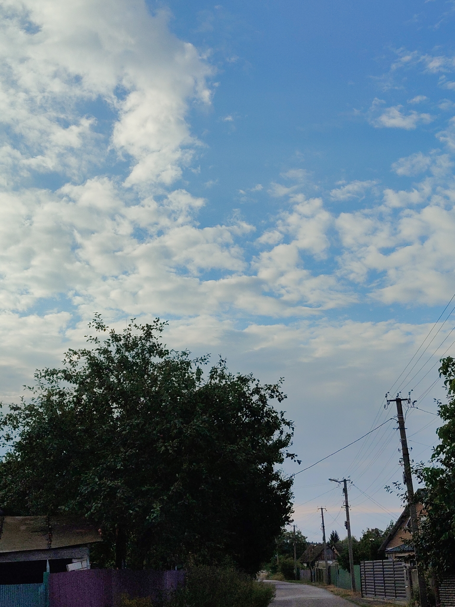 This image depicts a rural scene, likely in Cherkasy, Ukraine, under a partly cloudy sky. In the foreground, a dense, dark green tree occupies the left side, partially obscuring a small, weathered building with a corrugated metal roof and a section of a purple fence. A dirt road or path winds into the distance towards a cluster of houses. Utility poles with electrical wires crisscross the sky and extend along the right side of the road, marking the presence of infrastructure. The sky itself is a mix of bright blue with scattered white clouds. The overall impression is one of a quiet, overcast day in a rural village.