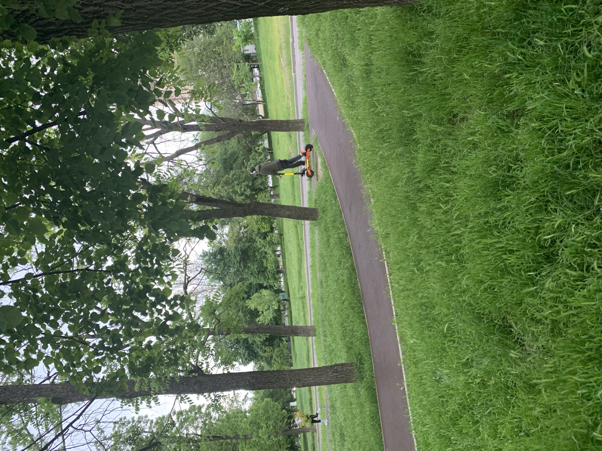 A person rides a yellow and black electric scooter on a paved path in a park. Trees line the path, with grass on either side. The location appears to be in a city.