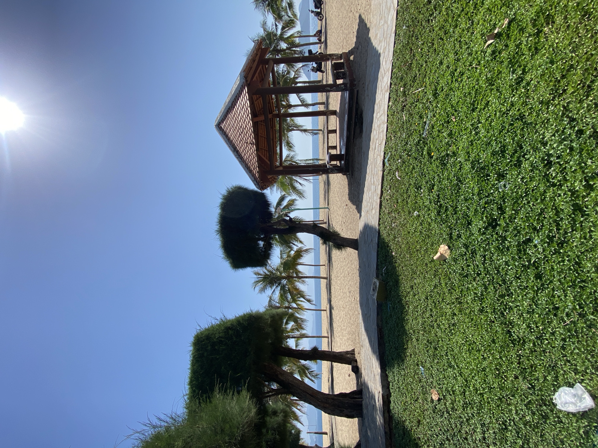 The image depicts a sunny day at a beach in Nha Trang, Vietnam, likely along Tran Phu Boulevard, a well-known beachfront area. In the foreground, a patch of lush green grass is visible, with scattered debris including a white plastic bag, a dried leaf, and what appears to be a broken piece of some material. A paved walkway with a stone border runs along the edge of the grass.
Beyond the walkway lies a sandy beach dotted with palm trees. To the right, a wooden gazebo with a tiled roof stands on the sand, featuring built-in benches. In the background, the calm sea stretches towards the horizon, meeting a clear blue sky. Several palm trees are scattered across the beach, and in the distance, two motorcycles are parked, with a few individuals sitting nearby. The sun is high in the sky, casting long shadows across the sand and grass.