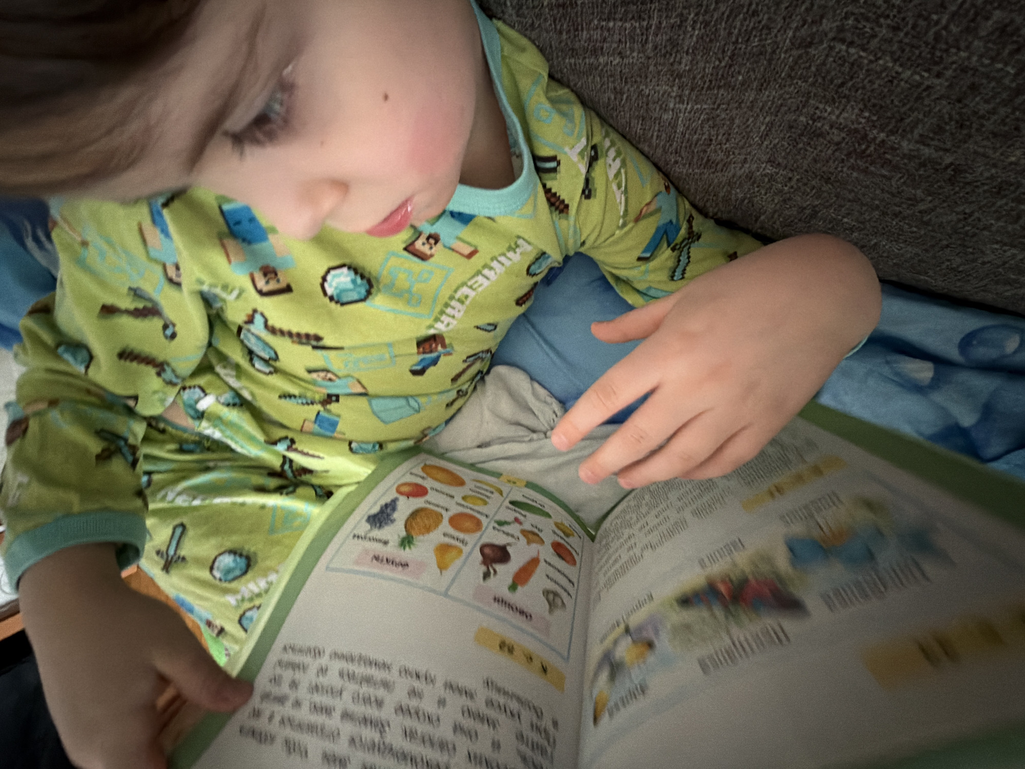 A young child wearing green Minecraft-themed pajamas is looking at an open book. The book appears to have a section on fruits and vegetables with labeled images. The child is positioned near a grey couch and a blue blanket. The location is not discernible from the image; therefore, it is impossible to determine if the image was taken in Perm, Russia.