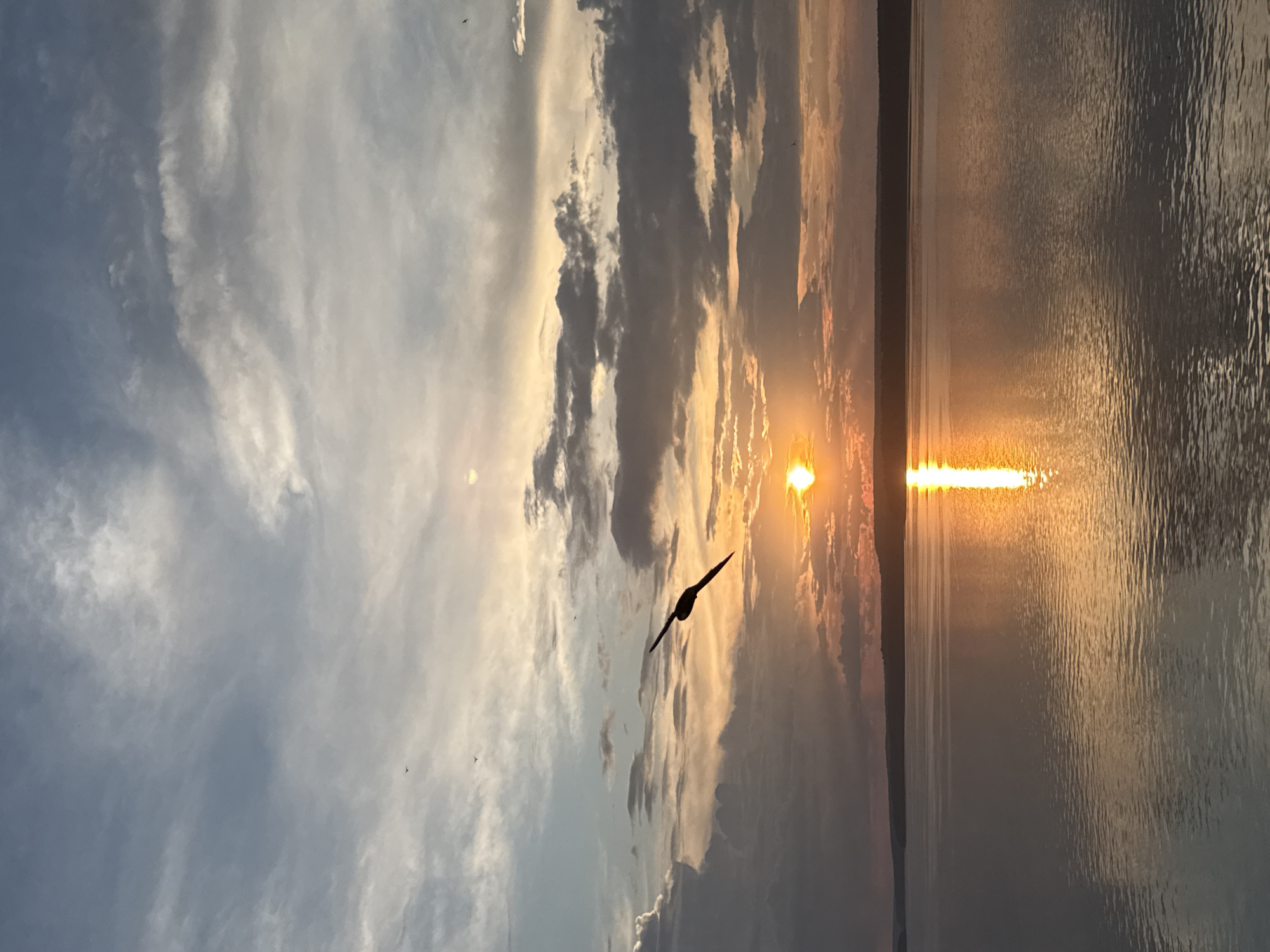 A bird is captured in flight against a sunset over a large body of water. The sun is low on the horizon, casting a warm orange glow that reflects on the water's surface. The sky is filled with dramatic clouds, some dark and heavy, others wispy and tinged with the sunset colors. The water appears calm, with gentle ripples reflecting the light. The silhouette of a distant shoreline is visible as a dark band across the horizon. The scene suggests a tranquil evening in Votkinsk, Russia, possibly along the Kama River or Votkinsk Reservoir.