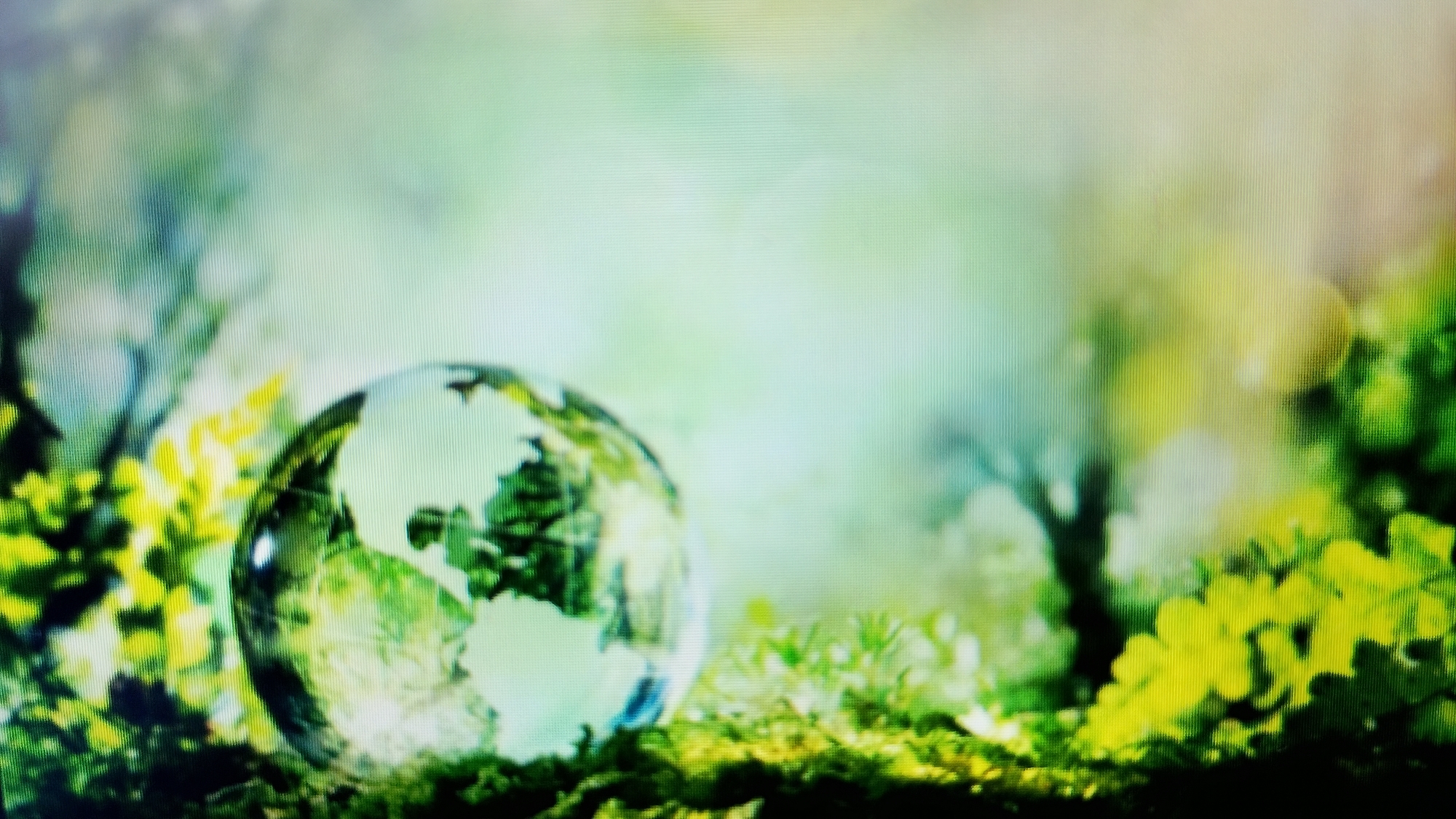 The image shows a glass globe with continents visible, placed on a mossy surface surrounded by vibrant green foliage. The background is blurred, with soft green and white hues, suggesting an outdoor, natural environment. There are no people or actions depicted in the scene. The image is a stylized representation of the Earth in nature. There is no discernible connection to the city of Smolyan, Bulgaria, or any specific urban location.