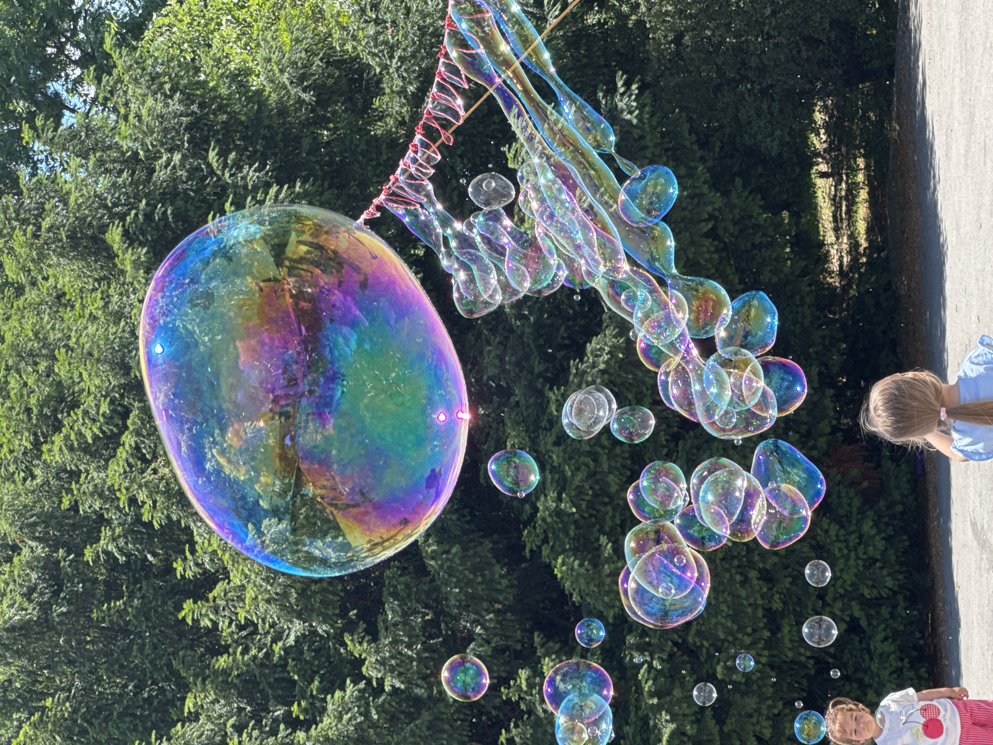In Varna, Bulgaria, amidst lush green trees, a vibrant scene unfolds with children observing a large bubble-making performance. Two young girls, one in a white shirt with cherries and pink striped pants, and another in a blue shirt, are the focal points in the foreground. They are looking towards a spectacle of iridescent, rainbow-colored bubbles of various sizes floating in the air. A particularly large, oval-shaped bubble dominates the upper portion of the frame, reflecting the surrounding greenery. Smaller bubbles trail behind it, connected by delicate strands of soap film, creating a visually captivating display. The sunlight glints off the surfaces of the bubbles, enhancing their shimmering, ethereal quality. The background is filled with dense foliage, suggesting an outdoor park or garden setting.