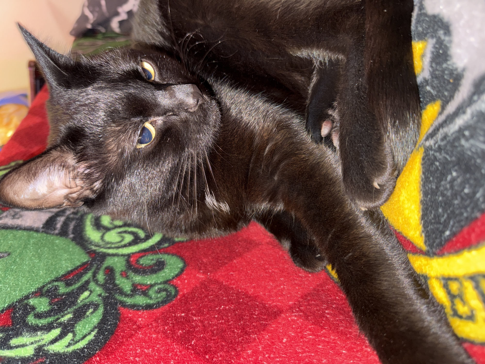 A black cat with yellow eyes is lying on a red blanket with a green pattern and a yellow and gray blanket with black geometric shapes. The cat's body is mostly visible, with its head turned to the right and its paws tucked underneath it. The lighting is dim, casting shadows on the cat's fur. The image appears to be taken indoors, possibly in a residential setting. There is no visible information indicating the location is Moscow, Russia.