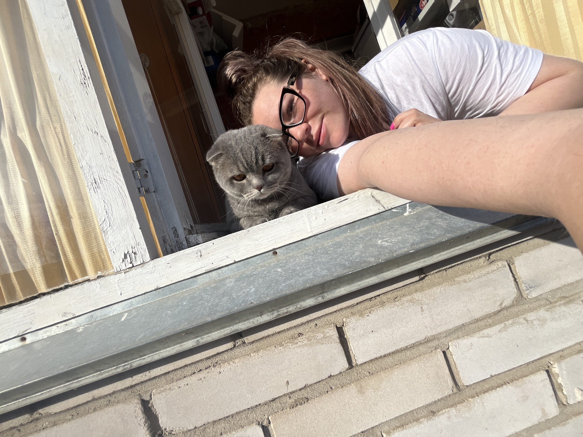 An outdoor-angled, sunlit close-up shot captures a young woman and a Scottish Fold cat at a window in Chaikovsky, Russia. The woman, with long dark hair pulled back, wearing eyeglasses and a white t-shirt, is leaning into the window frame from the left, resting her head near the cat. She has a slight, relaxed smile and looks directly towards the viewer. Her left arm is visible, showing a bright pink nail on her index finger.
Beside her, a grey Scottish Fold cat sits calmly on the window ledge, its distinctive folded ears visible. The cat has amber eyes and appears to be looking slightly downwards or outwards.
The setting reveals an old wooden window frame with peeling white paint, and a grey metal ledge beneath it. Bright sunlight illuminates the scene, casting strong shadows and highlighting the texture of the old wood and the light-colored brick wall outside. A light-colored, possibly sheer, curtain is visible inside the window on the left. The sun's position suggests it is daytime, likely morning or afternoon, providing a warm atmosphere. There is no discernible text visible in the image.