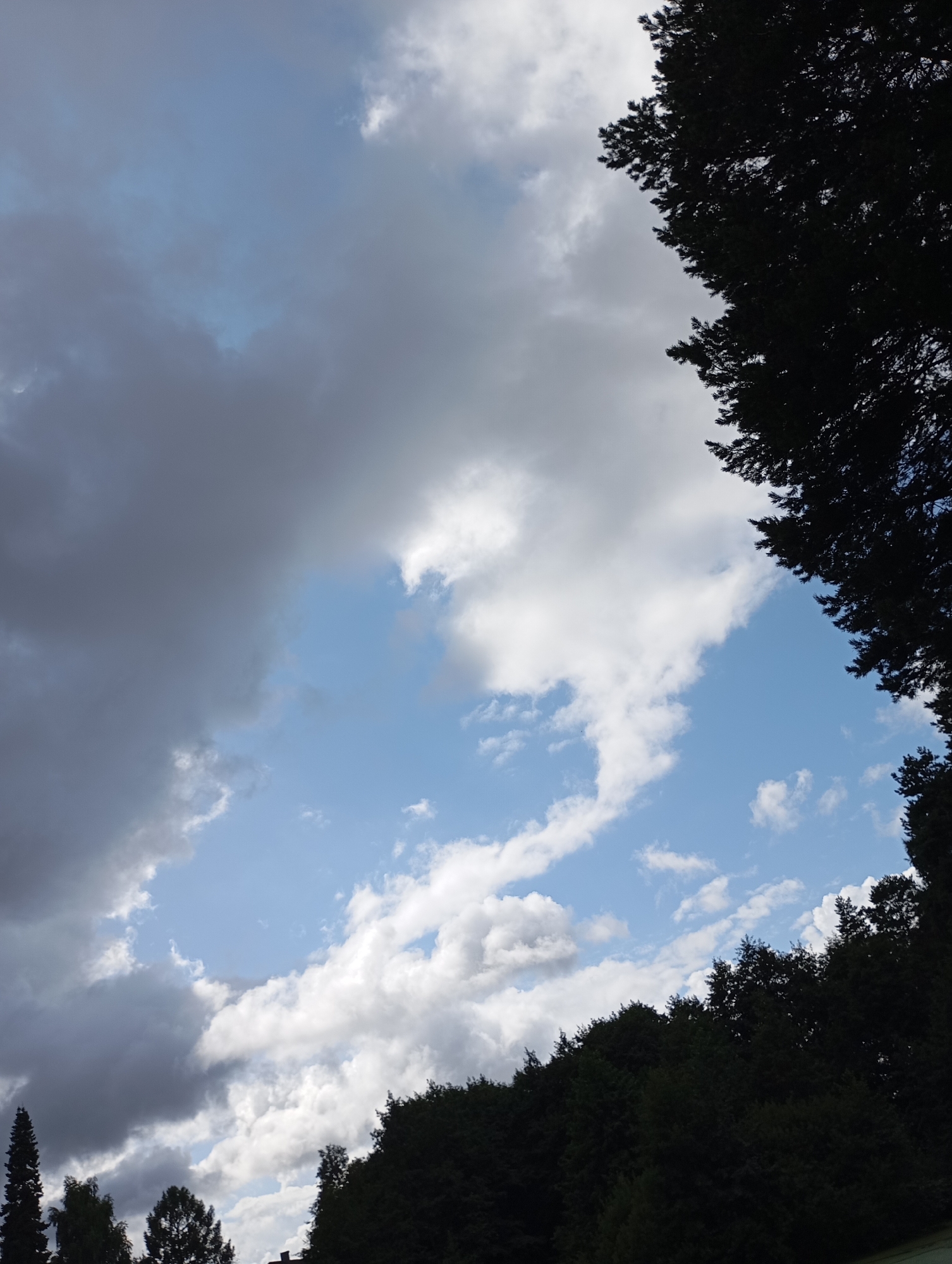A low-angle shot captures a dynamic sky over Chaikovsky, Russia. Dark, heavy clouds dominate the upper left quadrant, contrasting with bright, fluffy white clouds scattered across a bright blue sky in the center and right. The silhouette of a dense line of dark green trees forms a jagged horizon across the bottom and right edges of the frame. No people or structures are visible in the immediate scene.