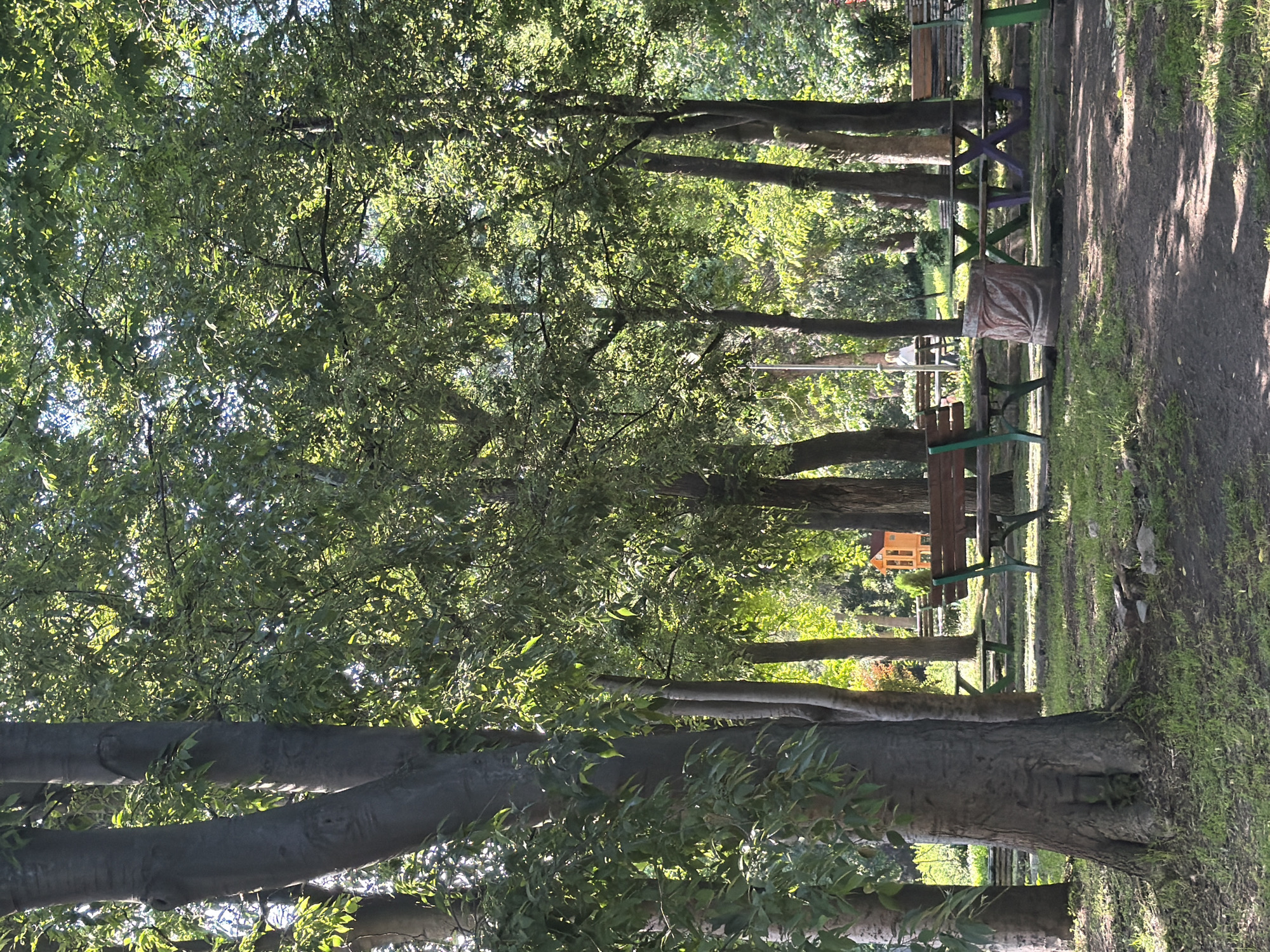 The image depicts a park setting in Plovdiv, Bulgaria. A dirt path runs along the right edge of the frame. Rows of trees line the left side of the path. Several wooden benches are positioned along the path, some with green painted supports. There is also a purple picnic table with matching benches. A concrete trash can sits near the path. The ground is covered with grass.