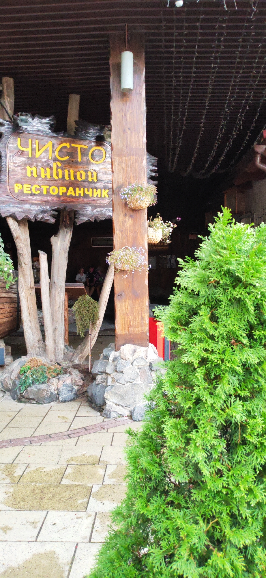 The image shows the entrance to a restaurant called "Чисто Пивной Ресторанчик" which translates to "Pure Beer Restaurant" in Russian. The restaurant's sign is made of wood with yellow, stylized lettering. It is mounted on a large wooden post. Two hanging baskets with small flowers are attached to the post. The entrance is flanked by decorative elements including rough-hewn wooden logs and a stone base. A lush green coniferous tree is visible in the foreground, partially obscuring the entrance. In the background, through the open entrance, several people can be seen sitting inside the dimly lit restaurant. The pathway leading to the entrance is paved with stone tiles, some of which appear wet. The overall aesthetic suggests a rustic and possibly casual dining establishment. The restaurant is located in the city of Homyel, Belarus.