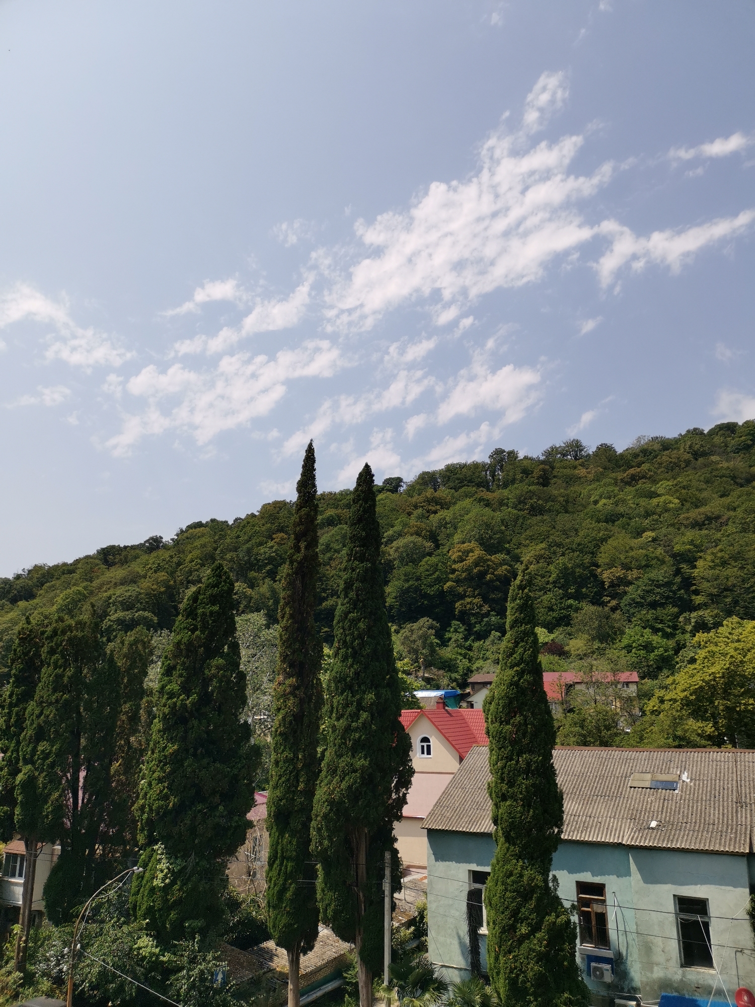 A daytime, eye-level, medium shot captures a view of a densely wooded hillside and buildings, likely in Sochi, Russia. The sky is a pale blue with scattered white clouds. In the foreground, several tall, slender cypress trees stand out against the backdrop. Behind them, a light blue building with a grey, corrugated roof is visible. To the left of this building, another building with a prominent red roof is partially obscured by trees. The hillside behind the buildings is covered in a thick, green forest.