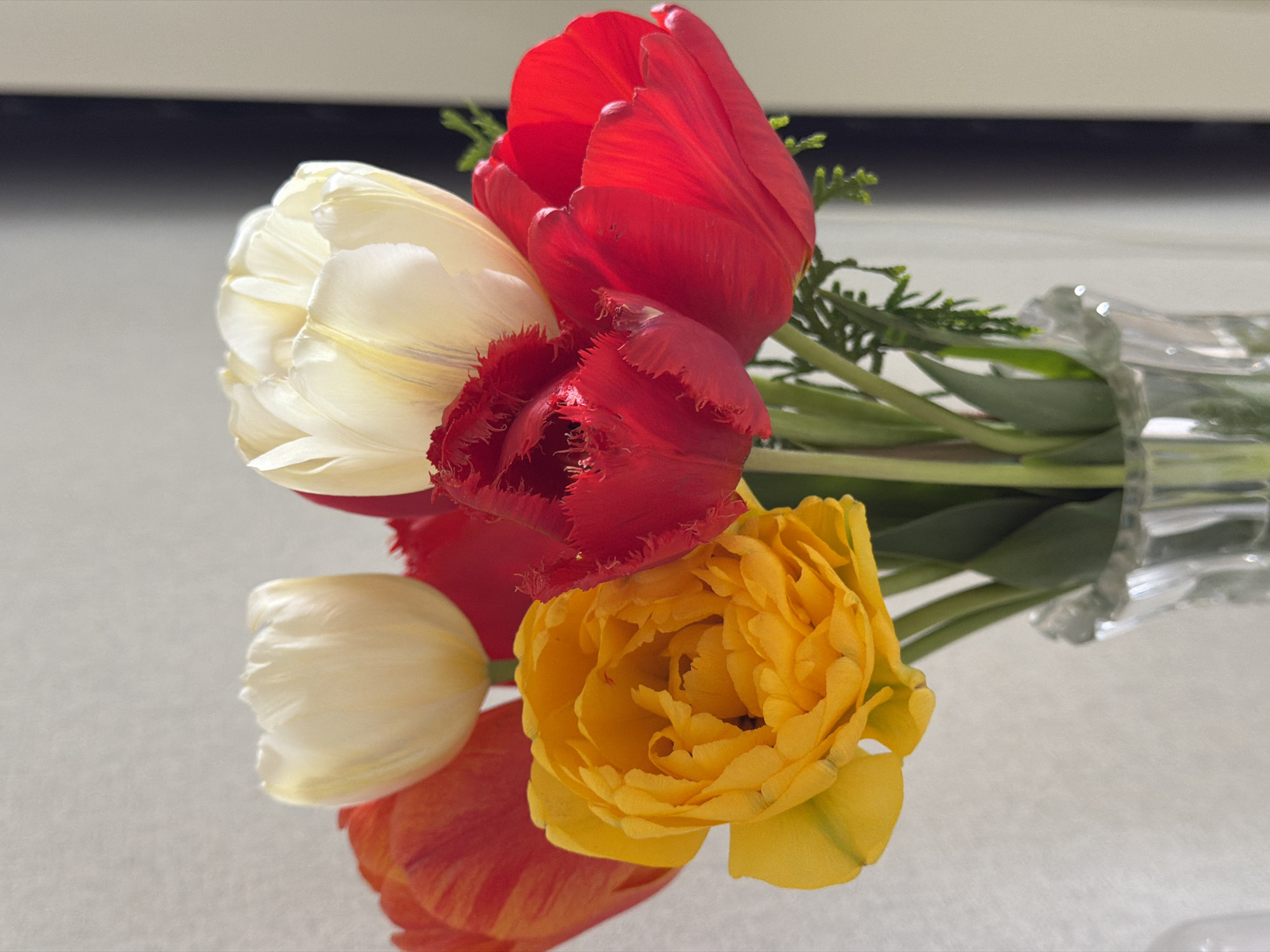 A still life photograph depicts a bouquet of tulips in a vase. The flowers are of varied colors including red, white, and yellow. The bouquet appears to be laid on a light gray surface. There is also greenery visible amidst the tulips.