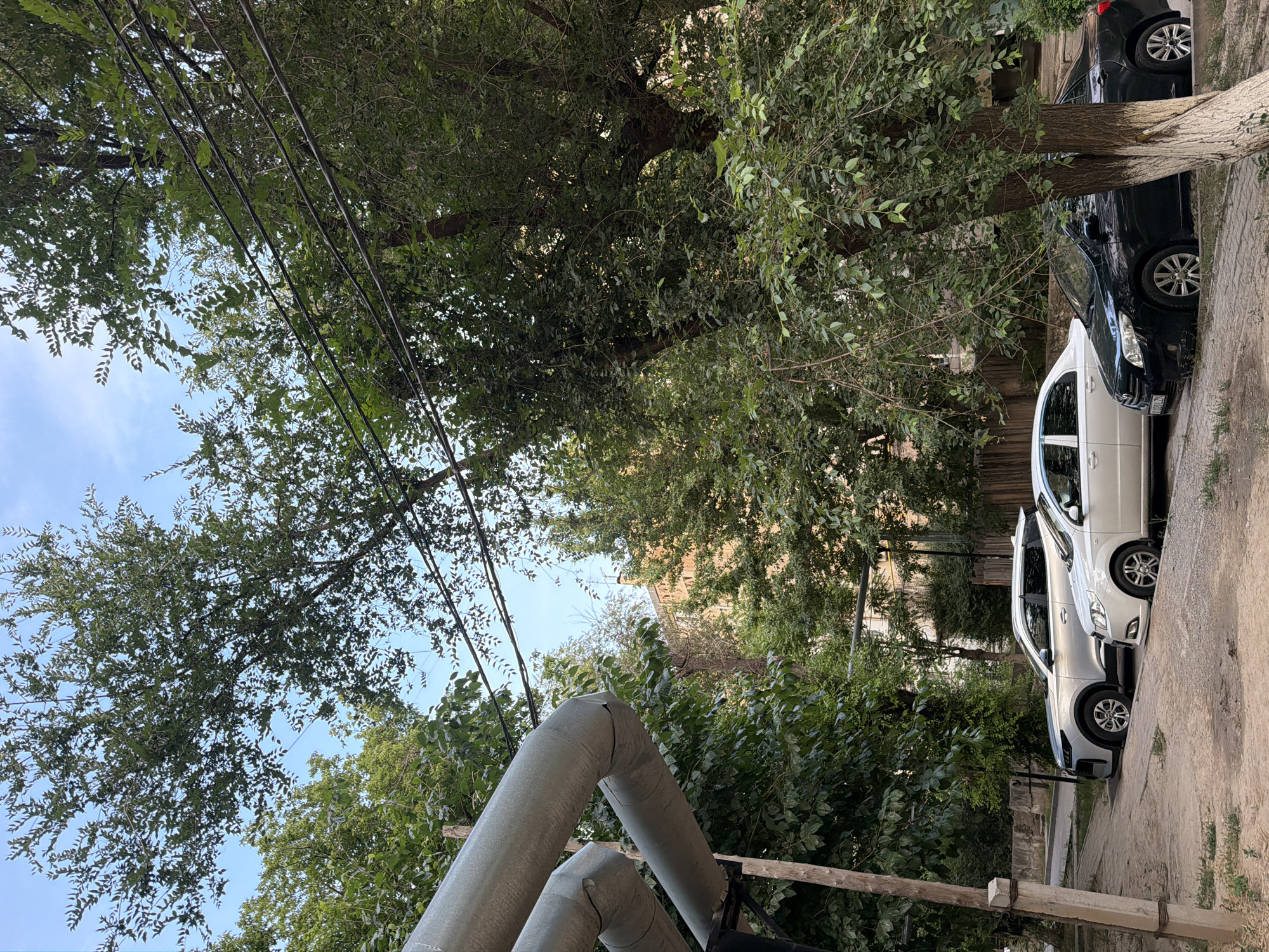 The image depicts an outdoor urban scene in Shymkent, Kazakhstan, likely in a residential or mixed-use area. In the foreground, a large, insulated pipe system runs horizontally across the left side of the frame, supported by a wooden post. The background reveals a light-colored building and dense foliage from mature trees that dominate the scene, with their branches and leaves partially obscuring the sky and overhead power lines. Parked along a dirt and gravel pathway are three vehicles: a silver SUV, a white sedan, and a dark-colored sedan. The white sedan is positioned in front of the silver SUV, and the dark-colored sedan is parked behind and to the right of the white sedan. The area appears to be a street or alleyway adjacent to a residential building. The lighting suggests it is daytime, with sunlight filtering through the trees. No people are visible in the image.