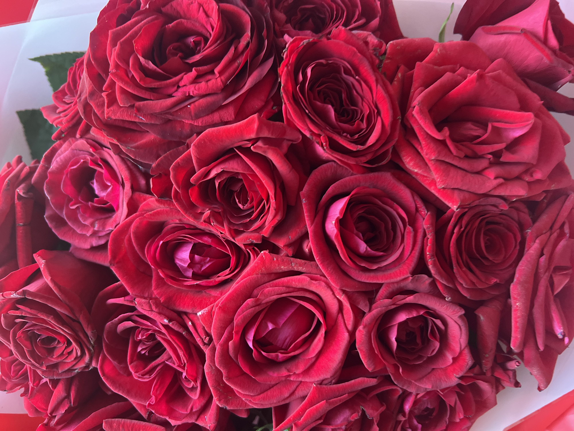 A close-up, overhead shot shows a bouquet of deep red roses. The roses are tightly packed, with many layers of petals, and some are slightly more open than others. A small hint of green leaves is visible in the upper right corner, along with some white wrapping material. The lighting is soft, highlighting the velvety texture of the petals. No people or specific location in Votkinsk, Russia are depicted.