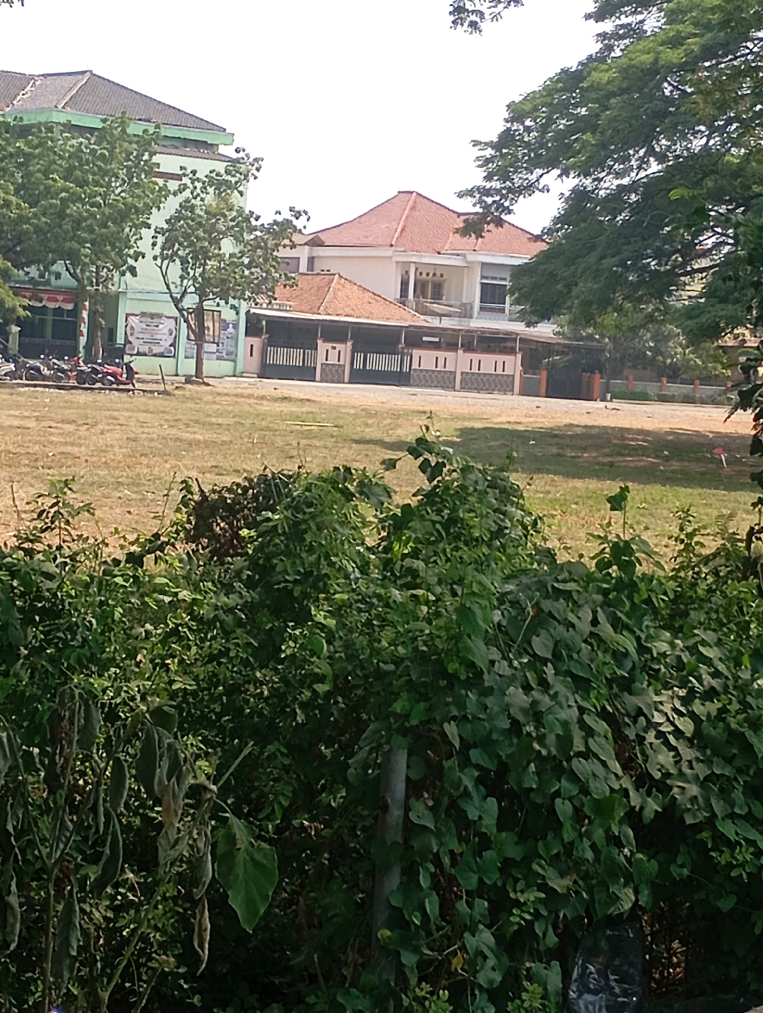 This is a ground-level, eye-level outdoor photograph taken in Babelan, Indonesia, depicting a scene with buildings, a field, and vegetation. In the background, there are several buildings. The building on the left is light green with a dark green roof and appears to be a school or institutional building. In front of this building, several motorcycles are parked. To the right of the green building, there is a building with a reddish-brown tiled roof, and further to the right, a larger white building with a similar tiled roof. The buildings are separated by fences and appear to be part of a larger complex.
In the mid-ground, there is a large, dry, grassy field. The field is mostly brown and appears somewhat worn. The foreground of the image is dominated by dense, green vegetation, including bushes and leafy plants. Some of the plants in the foreground appear wilted or dry. The overall impression is of a sunny day with clear skies. The scene appears to be a campus or an area with mixed residential and institutional buildings, possibly near a park or an open space.