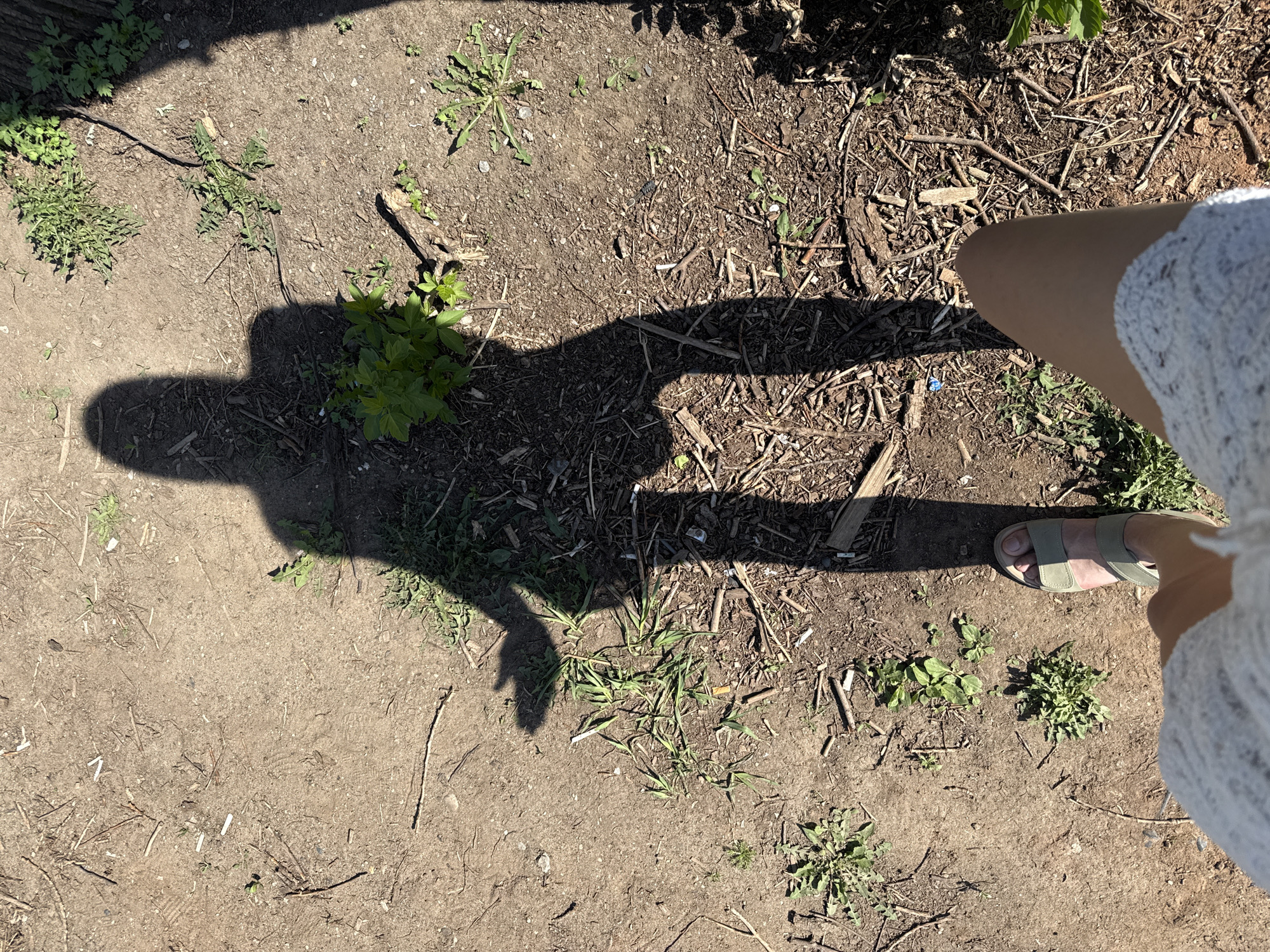 The image depicts a dirt and mulch-covered ground outdoors, with sparse green plants and the shadow of a person. A portion of a person's leg, wearing a white dress and a green sandal, is visible in the upper right corner. The location cannot be determined as Votkinsk, Russia without additional context.