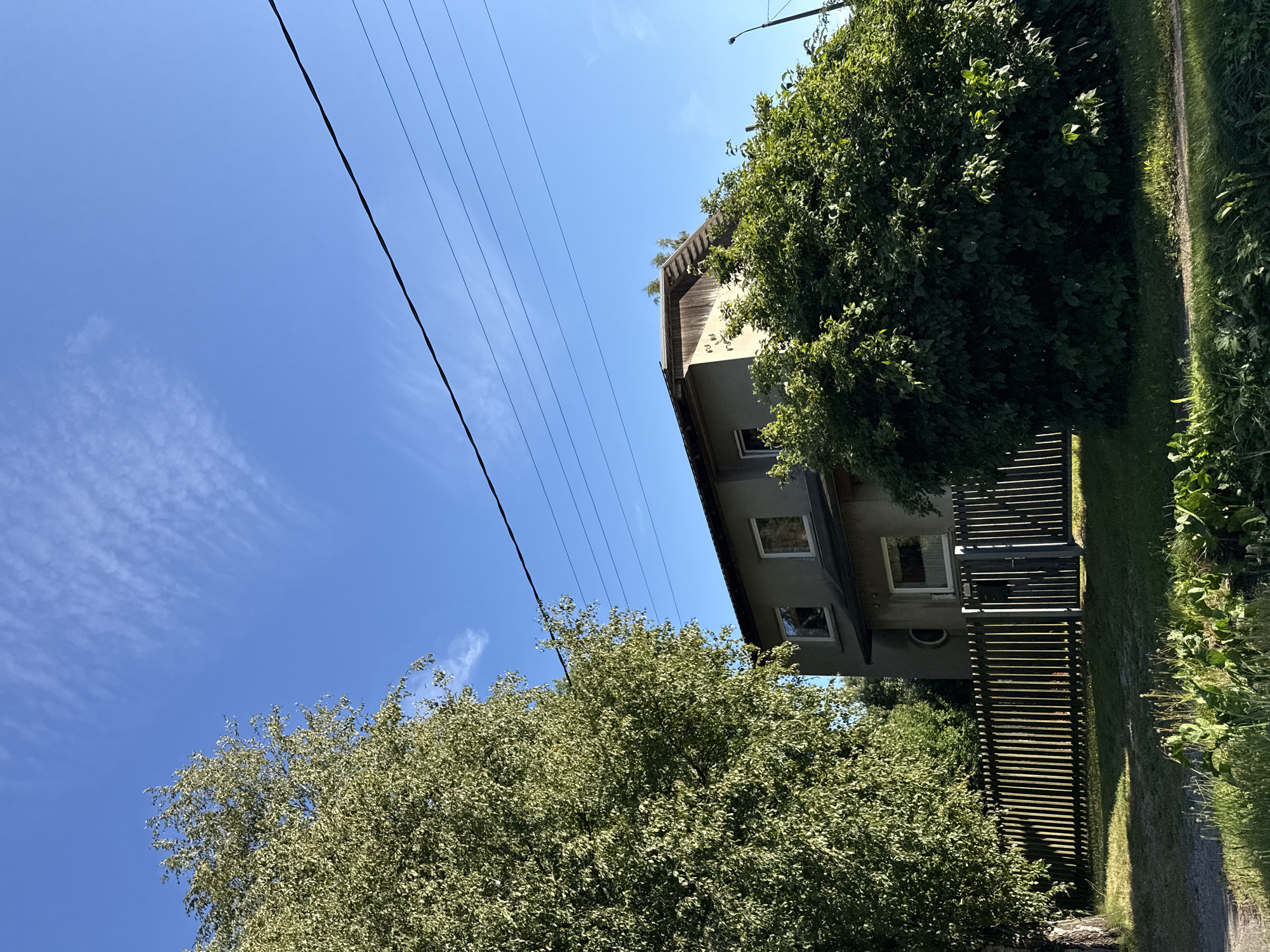 The image shows a two-story residential building in Tallinn, Estonia, under a bright blue sky with wispy clouds. A large, leafy tree stands to the left of the building, its branches casting shadows on the fence. A dense hedge partially obscures the lower portion of the house on the right. A wooden fence with vertical slats runs across the middle ground, separating the yard from the area in front. Overhead power lines are visible against the sky. The environment appears to be a suburban or rural residential area.