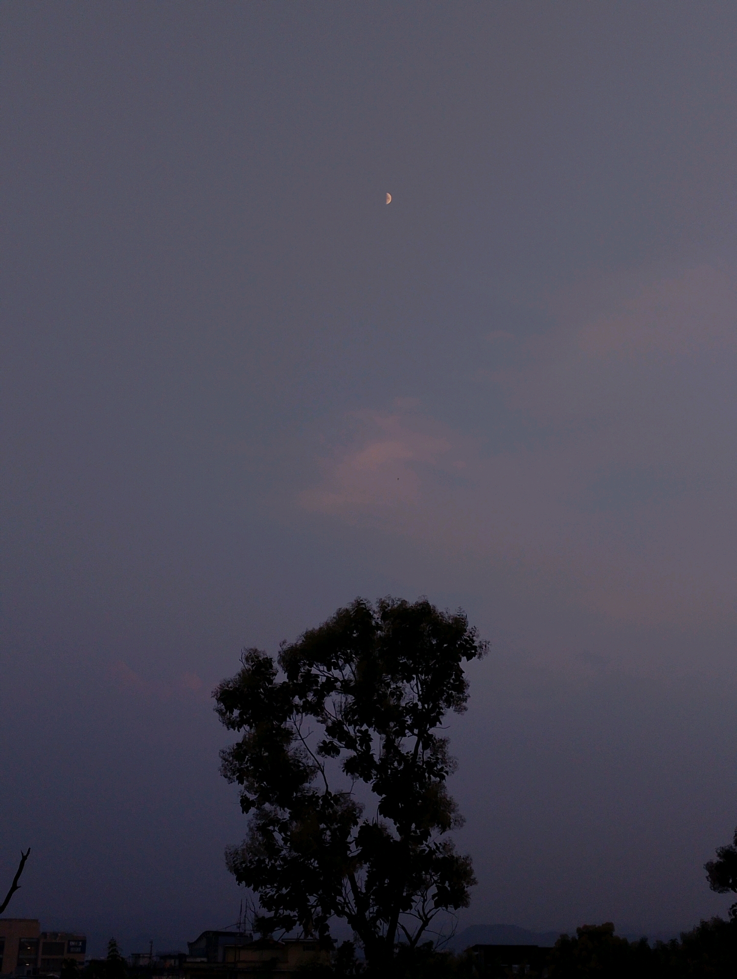 The image depicts a dusk or twilight scene with a clear, muted purple sky. A sliver of the moon is visible in the upper portion of the sky. In the foreground, a large tree with dark foliage dominates the center and right side of the frame, silhouetted against the sky. Below the tree, the outlines of buildings and distant trees are visible, suggesting an urban or semi-urban environment. The lighting indicates it is likely evening. There are no people or specific actions depicted. This scene could be observed from a location in Dispur, India, given the typical urban and natural landscape features.