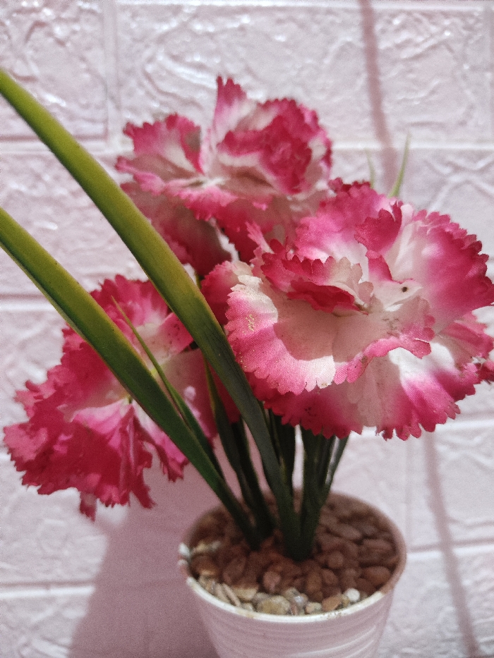 The image displays a close-up of a potted artificial plant in Astanajapura, Indonesia. The plant consists of multiple artificial flowers, predominantly pink with white centers and ruffled edges, resembling carnations, accompanied by slender green stems and leaves. It is contained within a small, white, ribbed pot filled with small, light brown and grey decorative pebbles. The background features a light pink wall with a distinct, raised, textured pattern. No individuals or active interactions are visible in the scene.