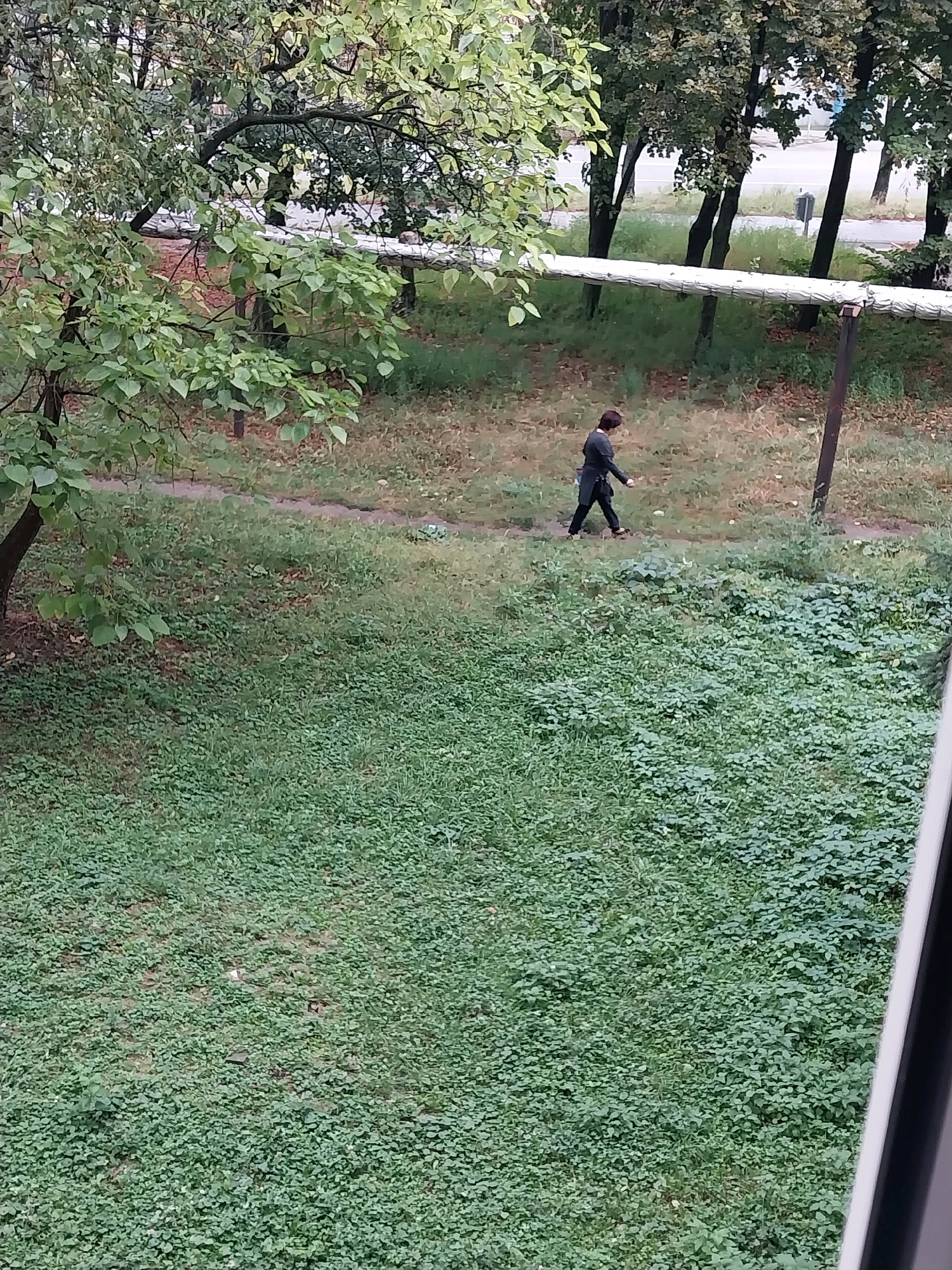 A lone person wearing a dark coat walks along a dirt path through a grassy area, with trees and foliage in the background. The scene appears to be an outdoor urban environment, possibly a park or a residential area, consistent with locations in Dnipro, Ukraine. A white pipe runs horizontally across the middle ground of the image, supported by vertical posts. The foreground is dominated by dense green ground cover.