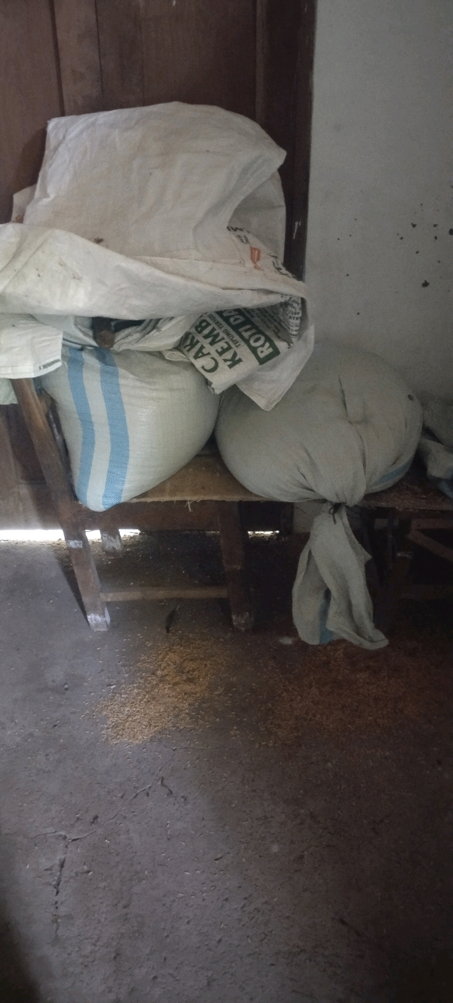 A vertical, medium shot captures a dimly lit interior scene in Daleman, Indonesia, dominated by several large sacks filled with an unknown substance. The sacks are positioned on a wooden shelf supported by rustic wooden legs, which are placed on a dirt floor. Scattered across the floor are small, light-colored particles, possibly grain or chaff, suggesting a storage or processing area.
One prominent sack, situated on the left, is white with vertical blue stripes. To its right, another sack is partially visible, appearing to be made of a lighter, possibly white material. On top of these, a larger white sack is draped, creating a layered effect. On the far right, a large, round, light-colored sack is tied at the top with a dark string. A piece of the sack's material has been pulled down and hangs loosely, secured by what appears to be a knot.
The background consists of a wooden wall on the left and a light-colored wall on the right, with some dark smudges or specks on the latter. The lighting is dim and casts shadows, contributing to the overall muted atmosphere of the scene. The image appears to have been taken at eye level, without any discernible individuals present. The overall impression is one of storage for agricultural products in a simple, functional setting.