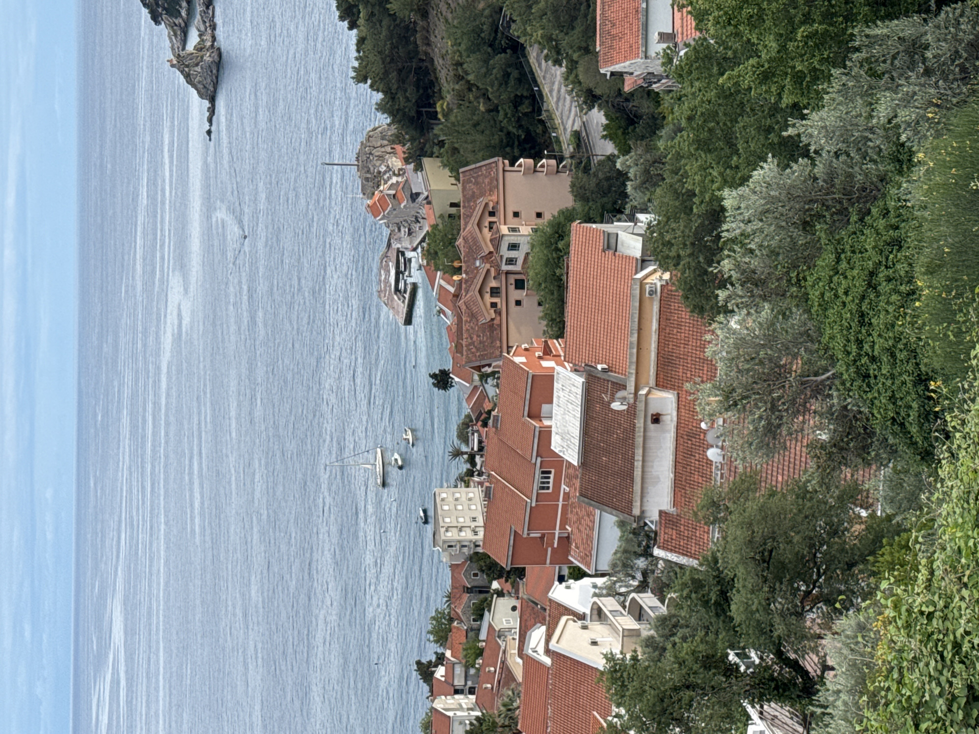The image captures a view of Petrovac na Moru, Montenegro, from an elevated perspective. The Adriatic Sea dominates the left side of the frame, with a small, rocky island visible in the distance. Several sailboats are scattered across the water's surface. The coastline is densely populated with buildings featuring red-tiled roofs, interspersed with green trees and vegetation. The architecture varies, with some buildings appearing modern and others more traditional. A road winds along the hillside behind some of the buildings. The scene conveys a sense of a Mediterranean coastal town with a mix of natural beauty and human development.