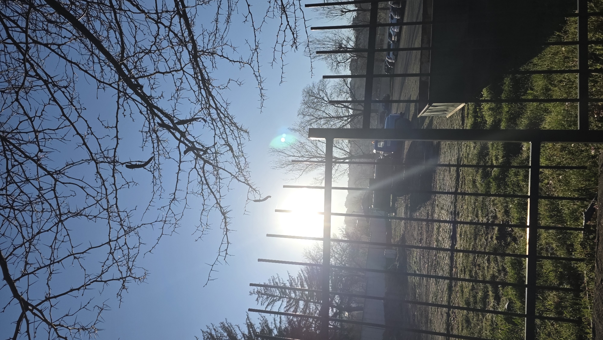 The image depicts a scene outdoors in Blagoevgrad, Bulgaria. A metal fence partially obstructs the view of a field or park area. Bare branches of trees are visible against a bright blue sky. The sun is shining, creating lens flare and strong contrast in the scene. Beyond the fence, there are trees and possibly parked cars in the background. The ground in the foreground appears to be grassy with some bare patches.