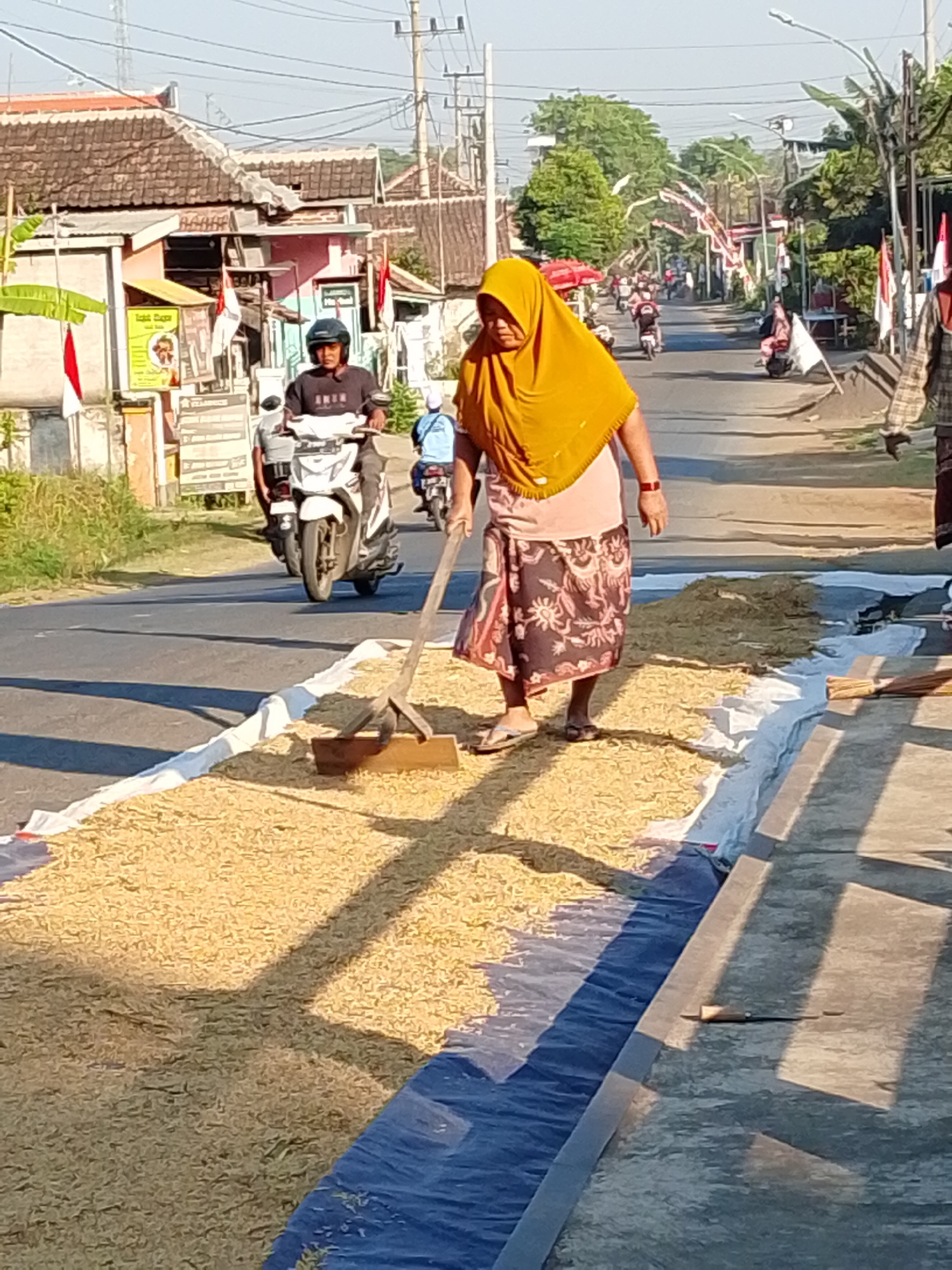 In the city of Pasuruan, Indonesia, a woman wearing a yellow hijab and a patterned skirt is raking a large spread of rice on a white tarp laid out on the side of a road. The rice is golden yellow and appears to be drying in the sun. The woman uses a long-handled rake with a wooden head to even out the grains. To her left, a motorcycle with a rider wearing a helmet is passing by on the asphalt road. In the background, there are houses with terracotta roofs, some decorated with Indonesian flags, and lush green trees. The scene depicts a common agricultural practice of drying harvested crops in an urban or semi-urban environment.