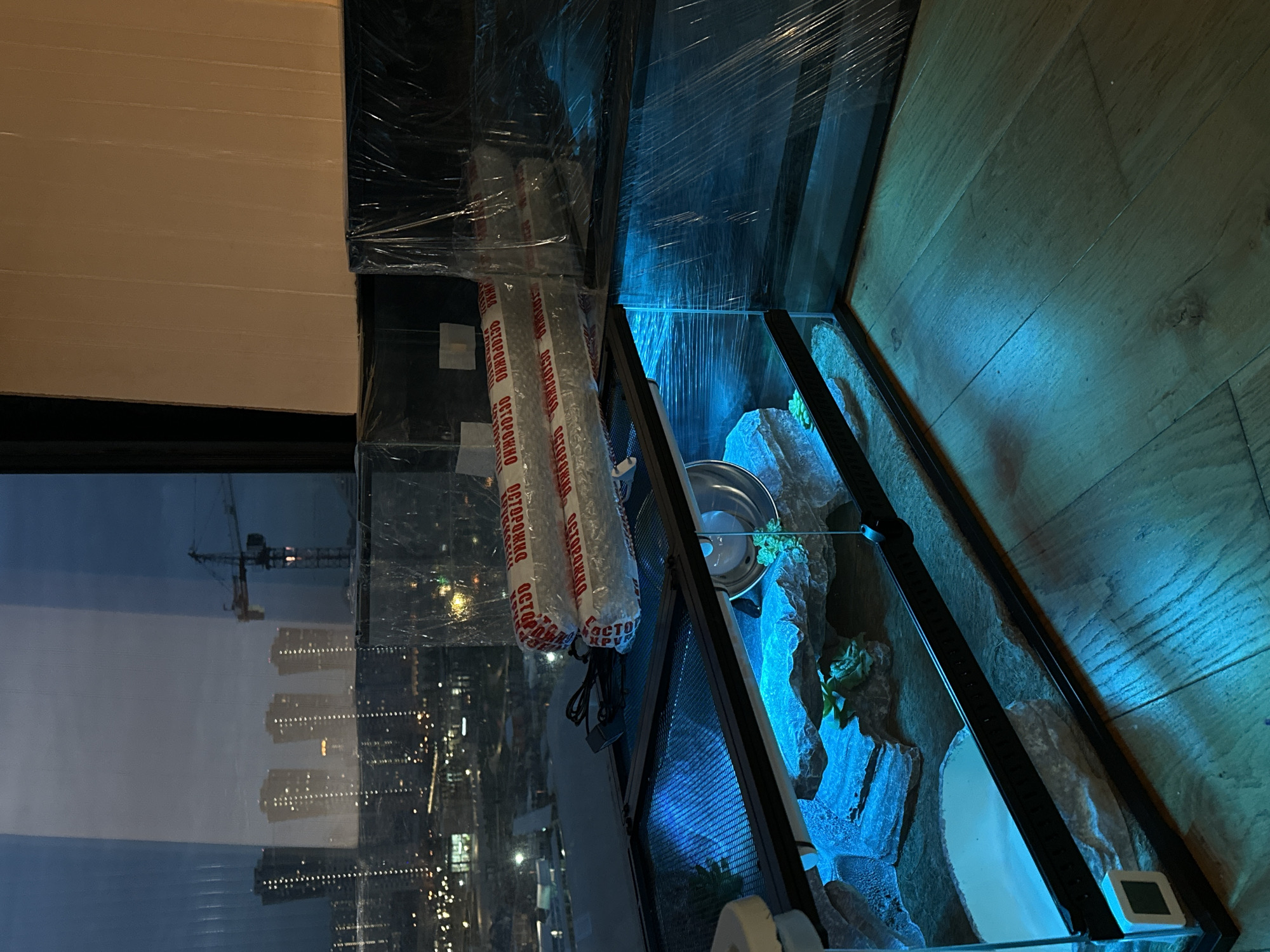 The image shows an indoor scene with a reptile enclosure as the central subject. The enclosure appears to be a terrarium with artificial rock formations and plants inside, illuminated with a blue light. A metal bowl is also visible inside.
The terrarium is located near a window. The window reflects a nighttime cityscape, including buildings and a construction crane. Based on visual landmarks and the overall urban environment, it's possible that the location is Khimki, Russia.
The terrarium is partially covered with protective material, including plastic wrap and padding marked with the word "ОСТОРОЖНО" (Caution) in Cyrillic. The floor appears to be made of wood planks.
