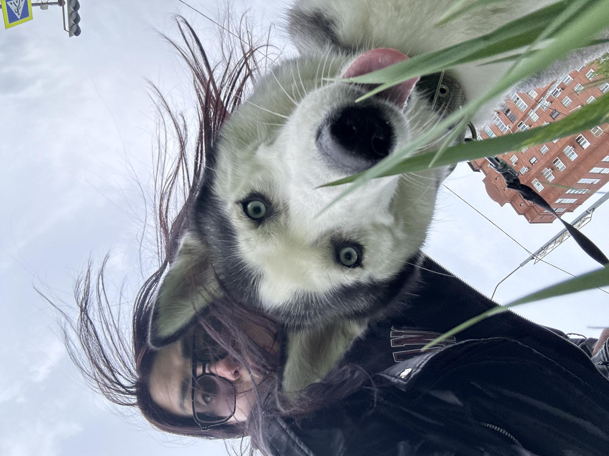 A low-angle selfie features a person and a husky. The person, wearing glasses and a black leather jacket, is visible in the lower part of the frame. The husky is positioned directly above them, its face dominating the upper portion of the image, with its tongue sticking out. A tall red-brick building and green plants are in the background. A traffic light is visible in the upper-left corner. The sky is cloudy.